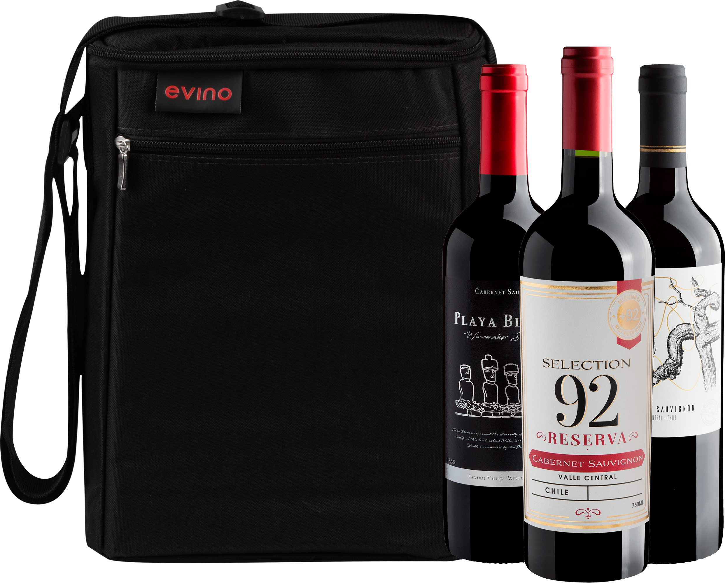 Kit 3 Cabernets Sauvignons + Bolsa Exclusiva
