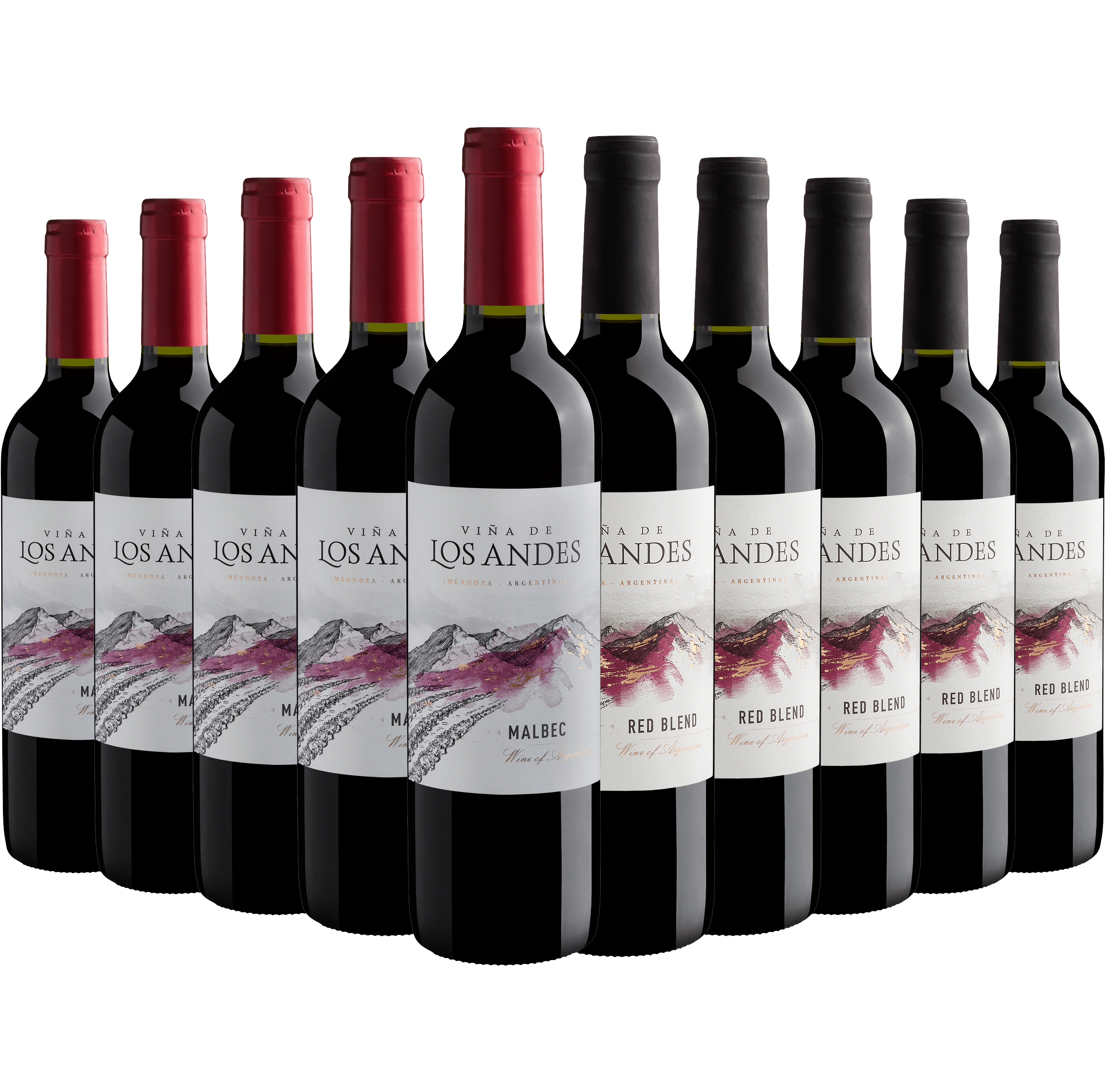 Kit Viña de Los Andes: 5 Malbecs + 5 Red Blends