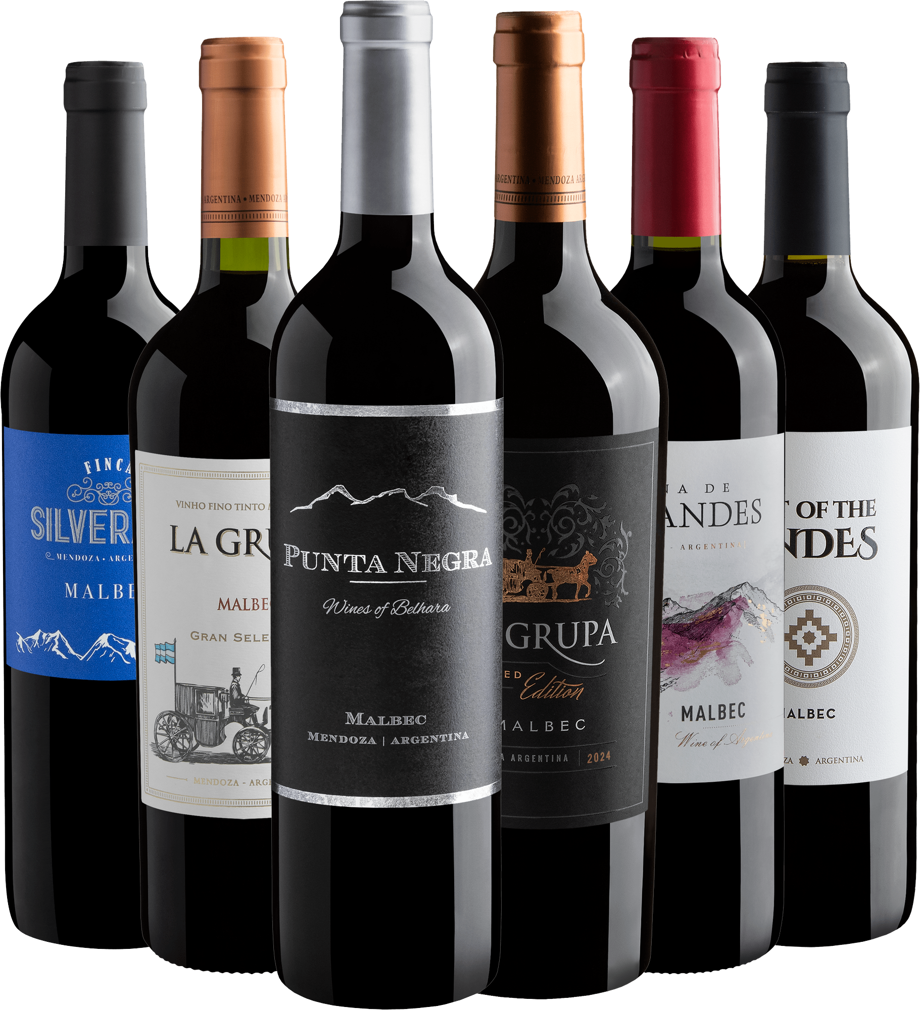 Kit 6 Malbecs Argentinos com Punta Negra