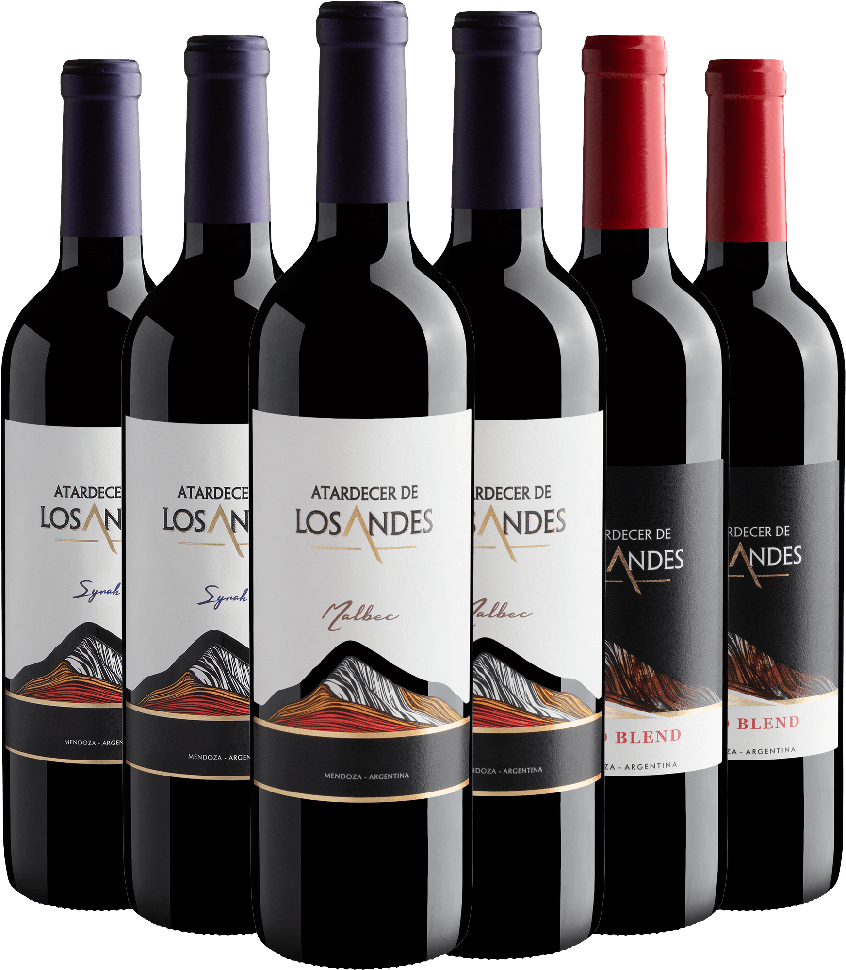 Kit Atardecer De Los Andes: 2 Malbecs + 2 Syrahs + 2 Red Blends