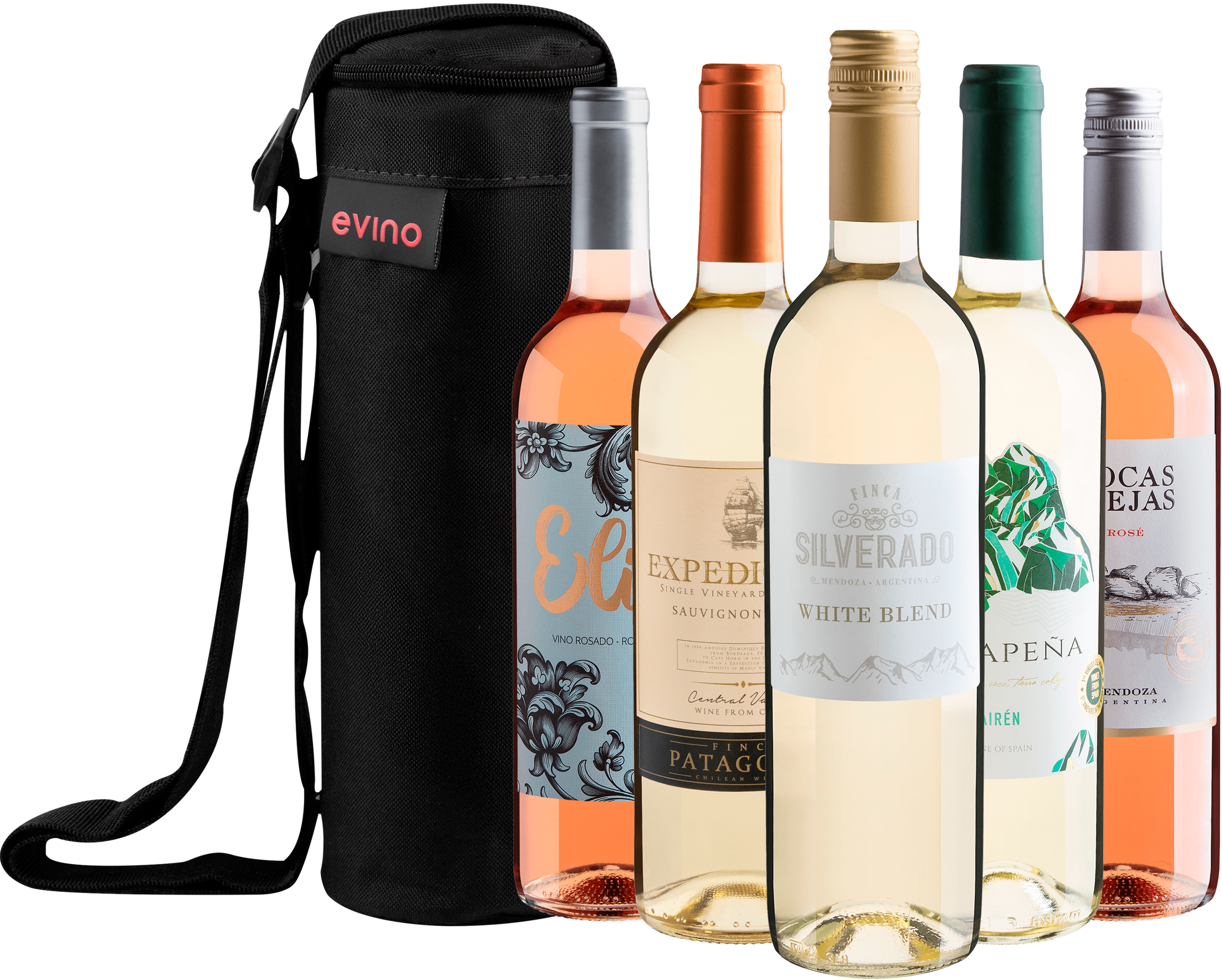 Kit 5 Vinhos Refrescantes + Bolsa Exclusiva
