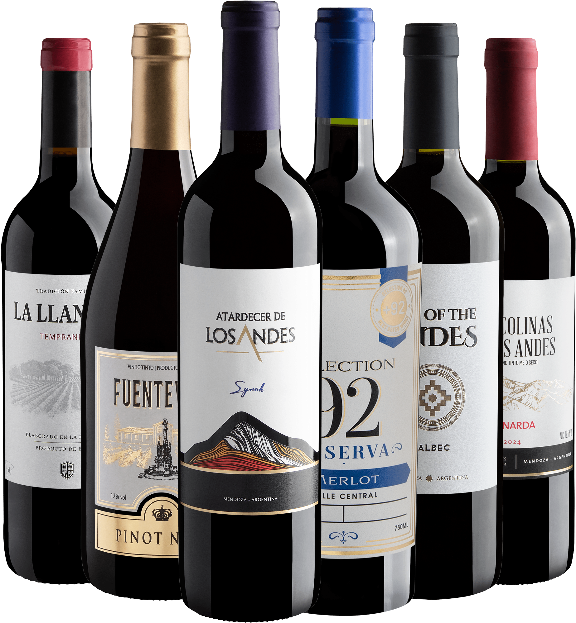Kit 6 Vinhos de Uvas Icônicas  