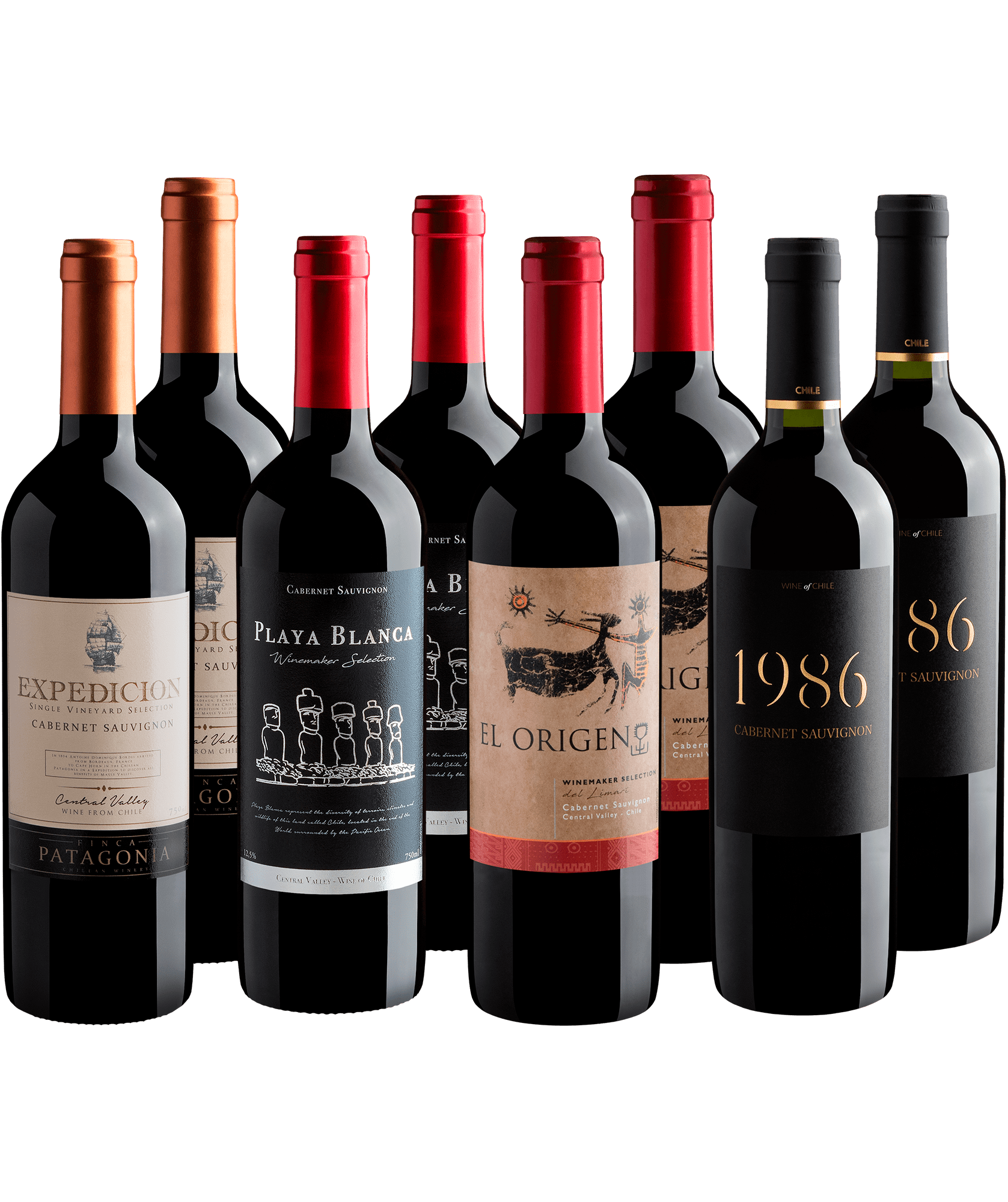 Kit Cabernet Sauvignon em Dobro | 8 garrafas