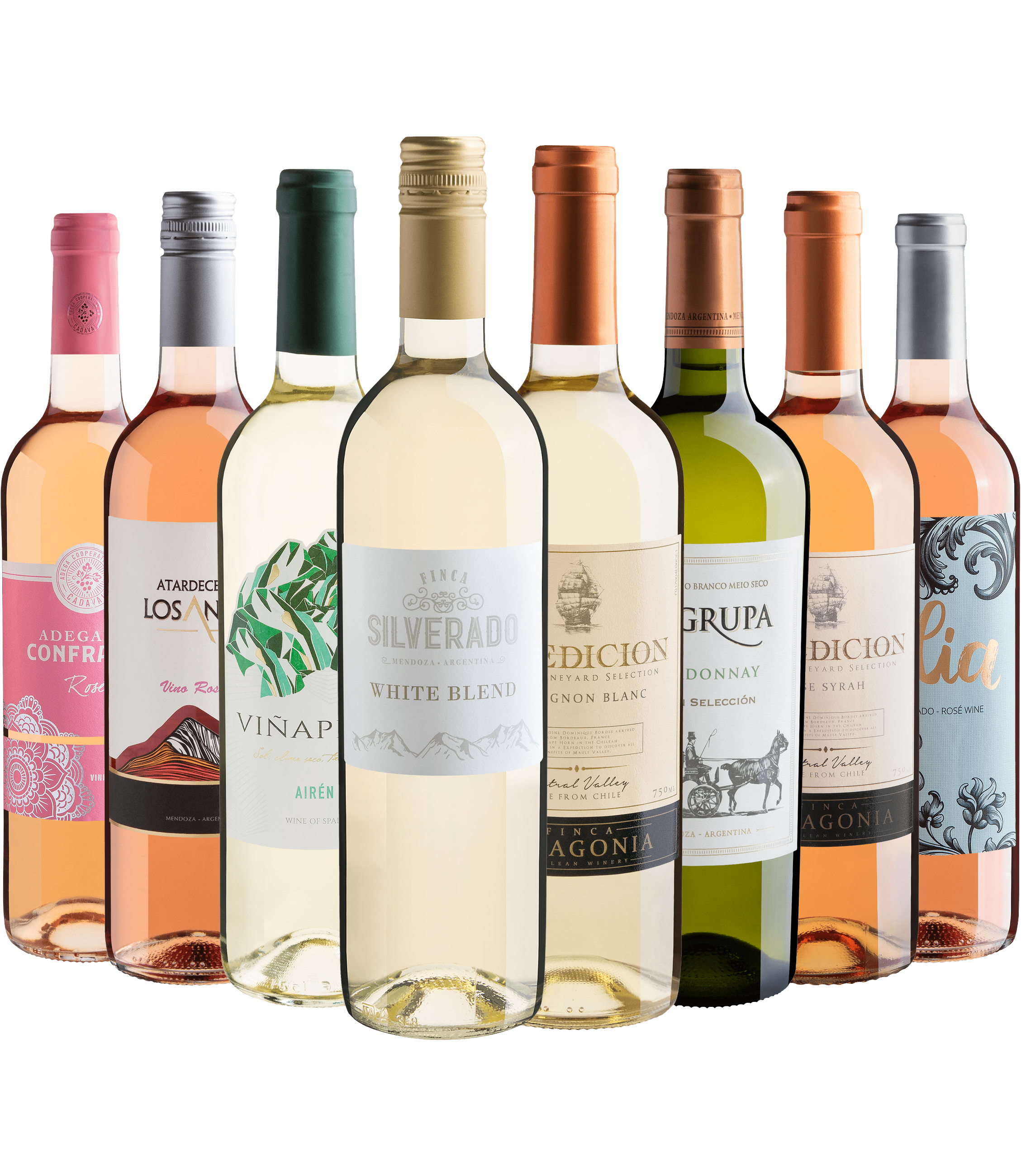 Kit 8 Vinhos Refrescantes