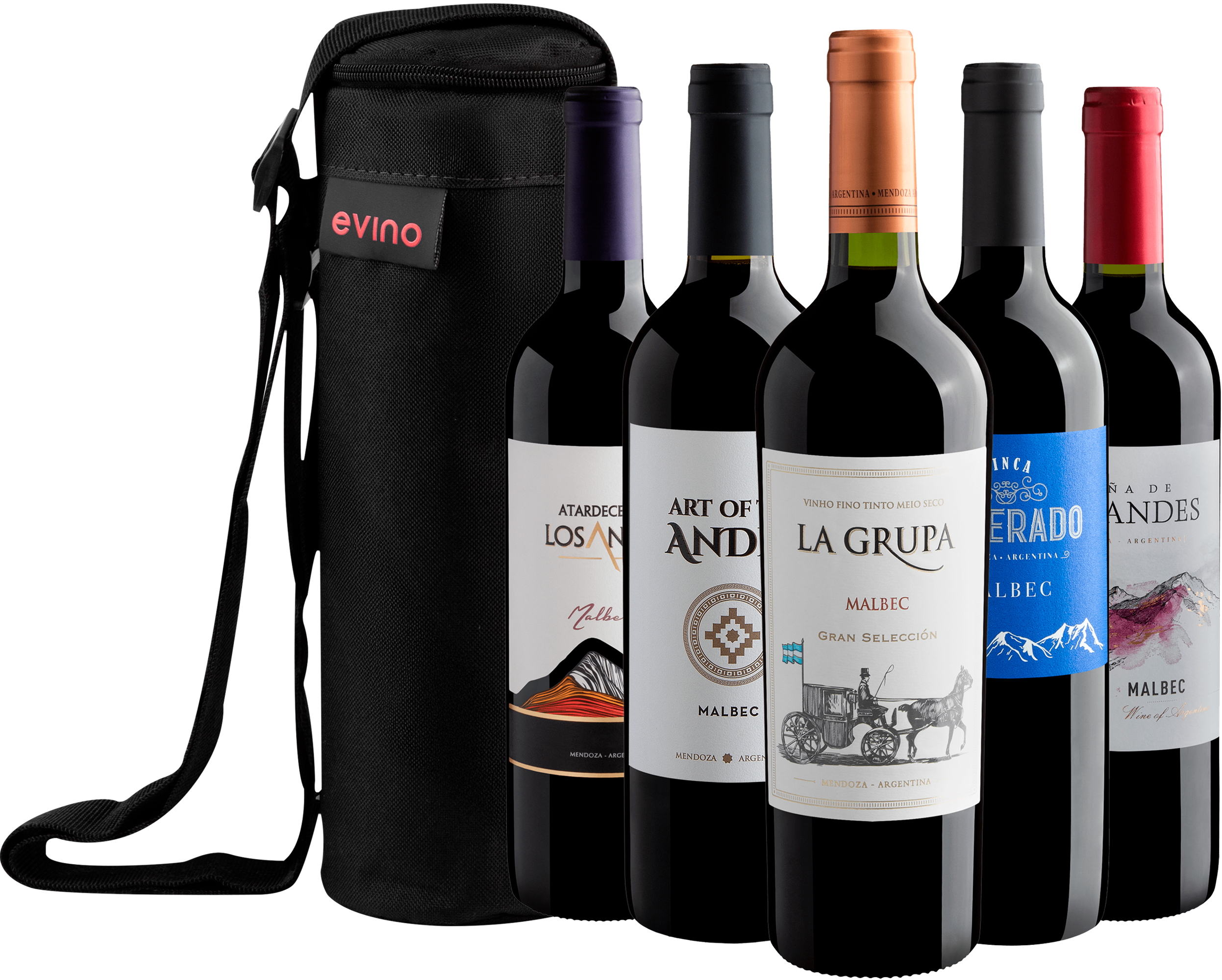 Kit 5 Malbecs + Bolsa Exclusiva