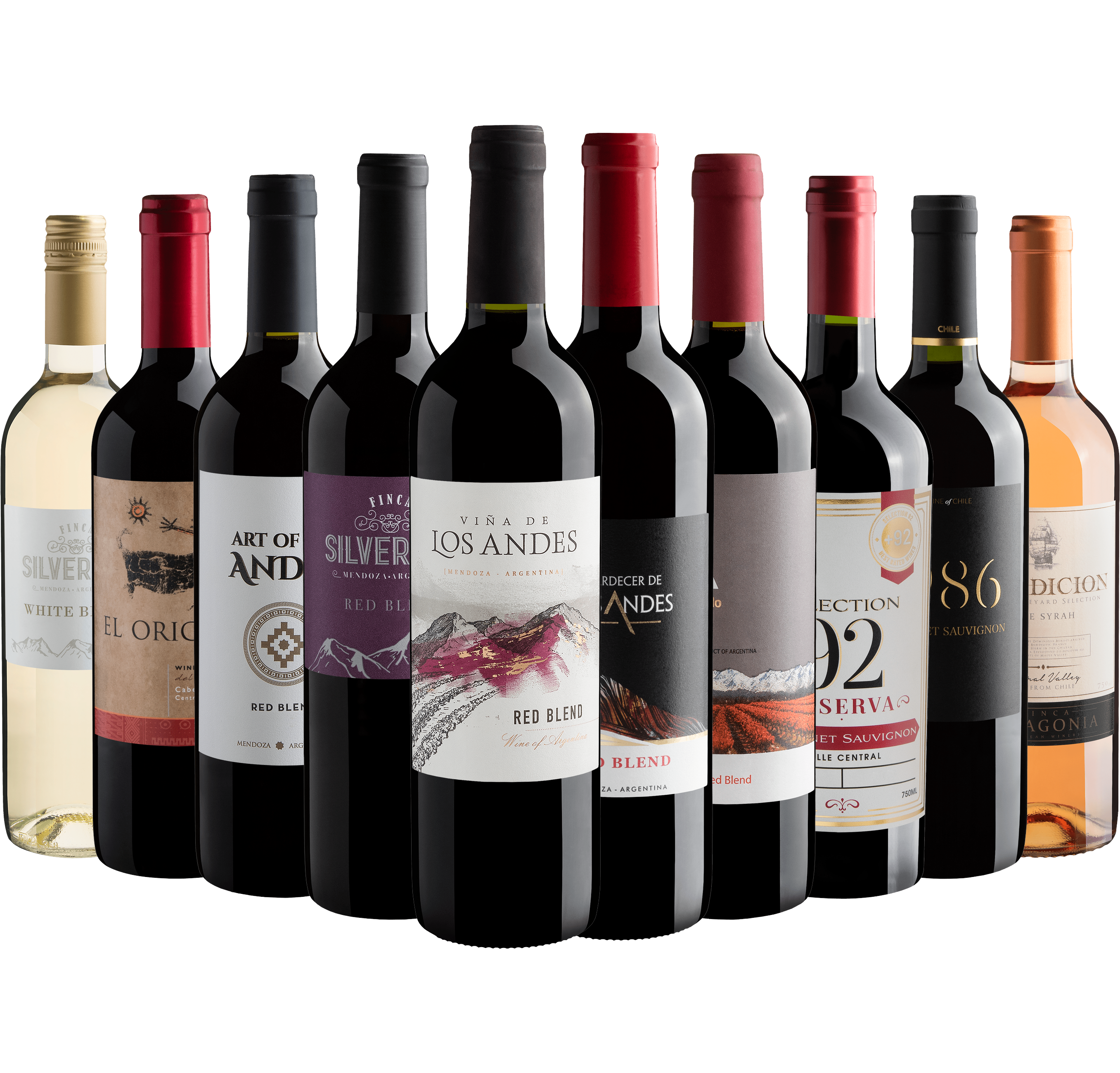 Kit 10 Vinhos do Novo Mundo