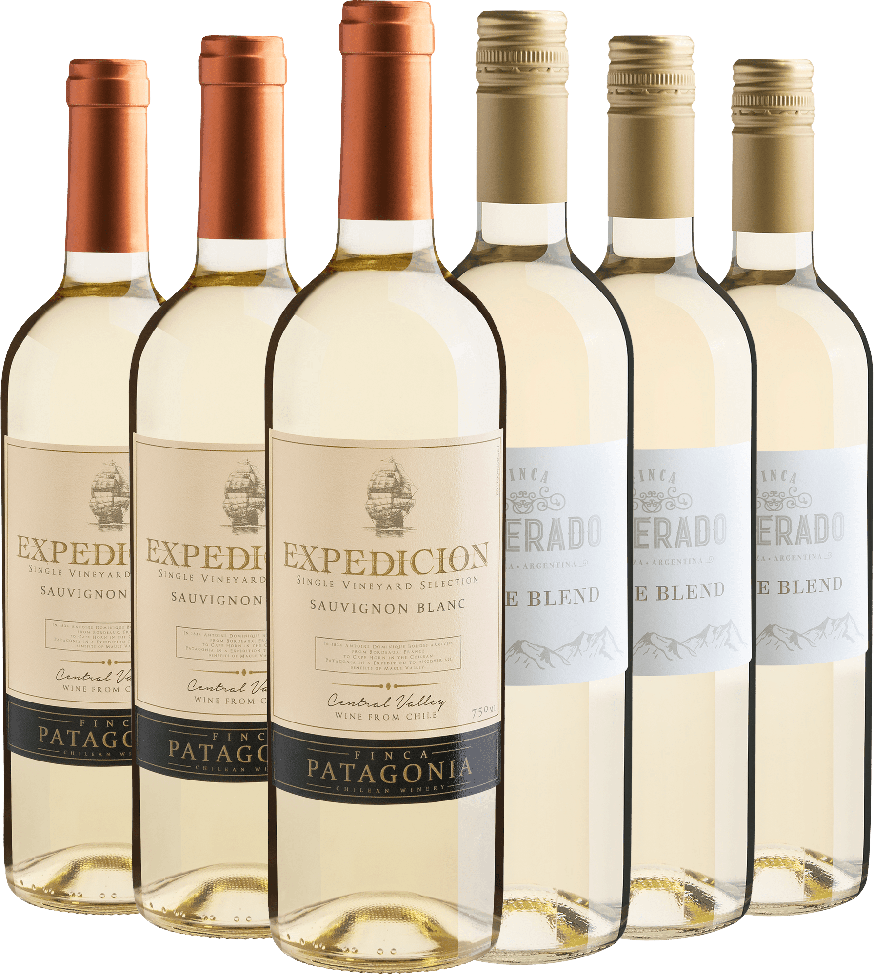 Kit Vinhos Brancos | 3 Finca Patagonia Expedicion + 3 Finca Silverado