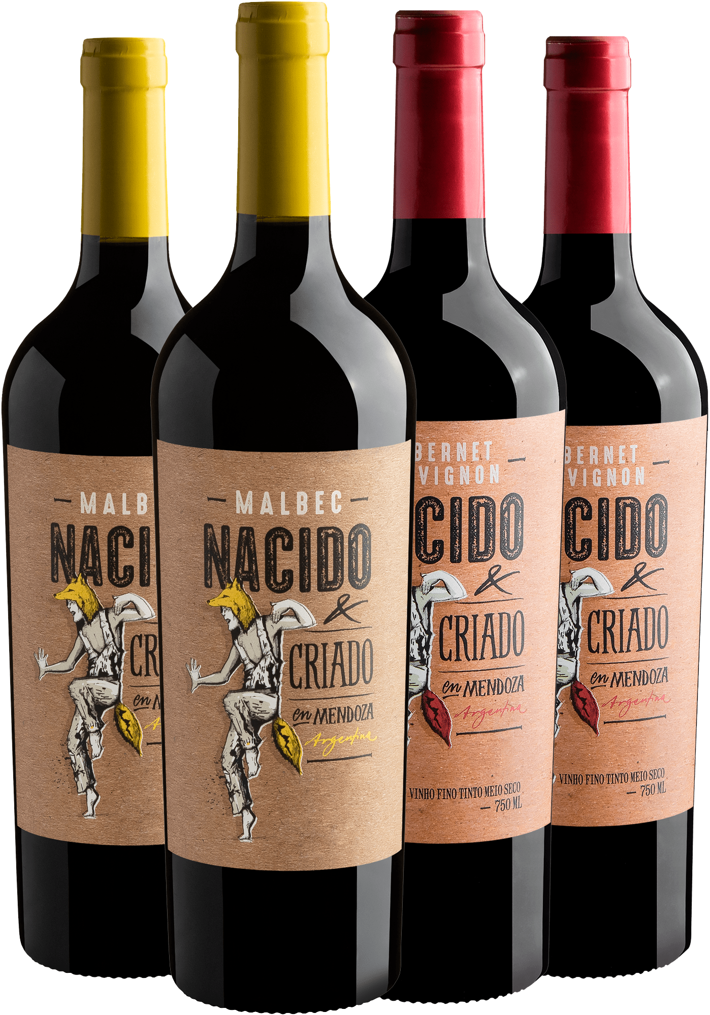 Kit Nacido & Criado en Mendoza: 2 Malbecs + 2 Cabernets Sauvignons