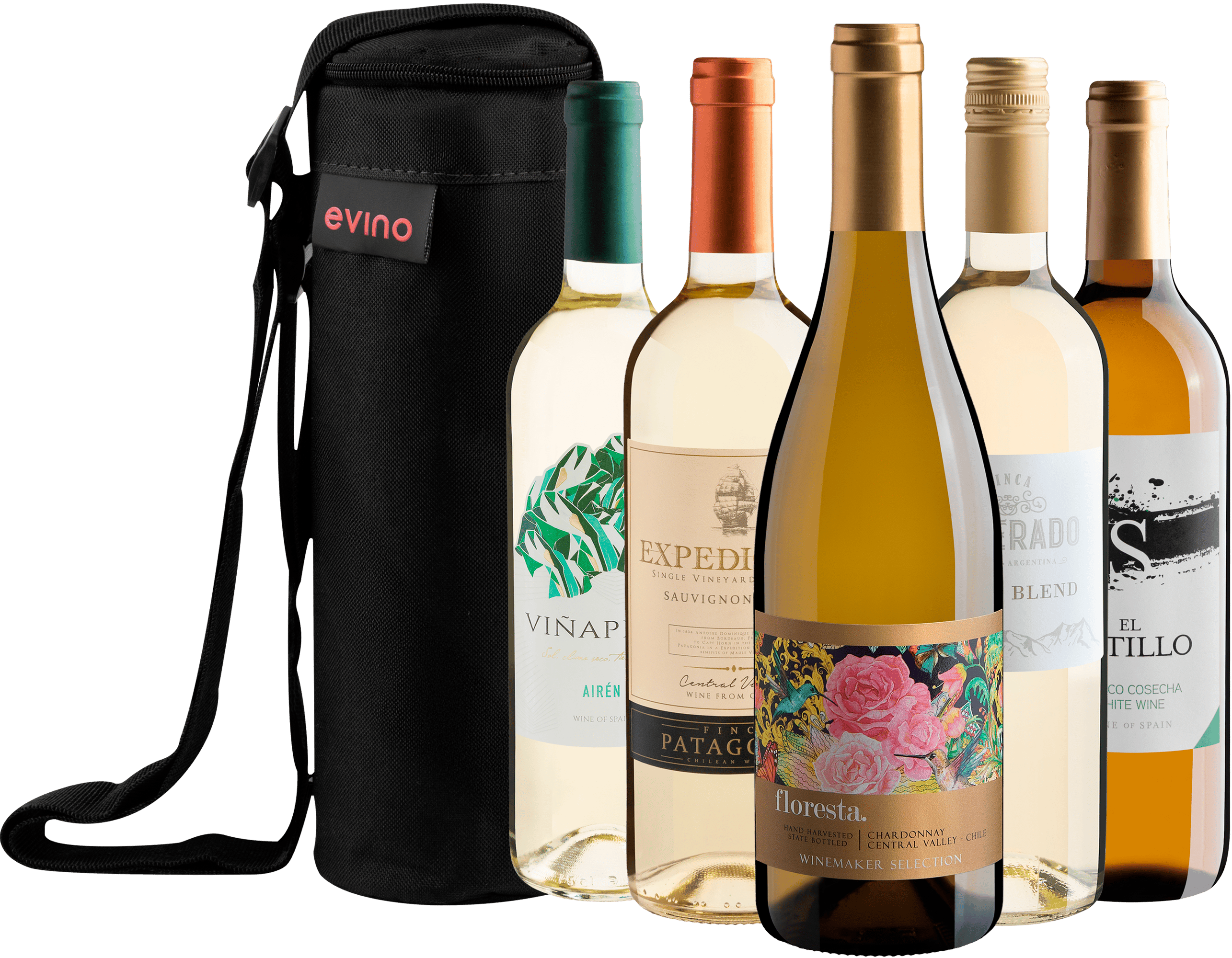 Kit 5 Vinhos Brancos + Bolsa Exclusiva
