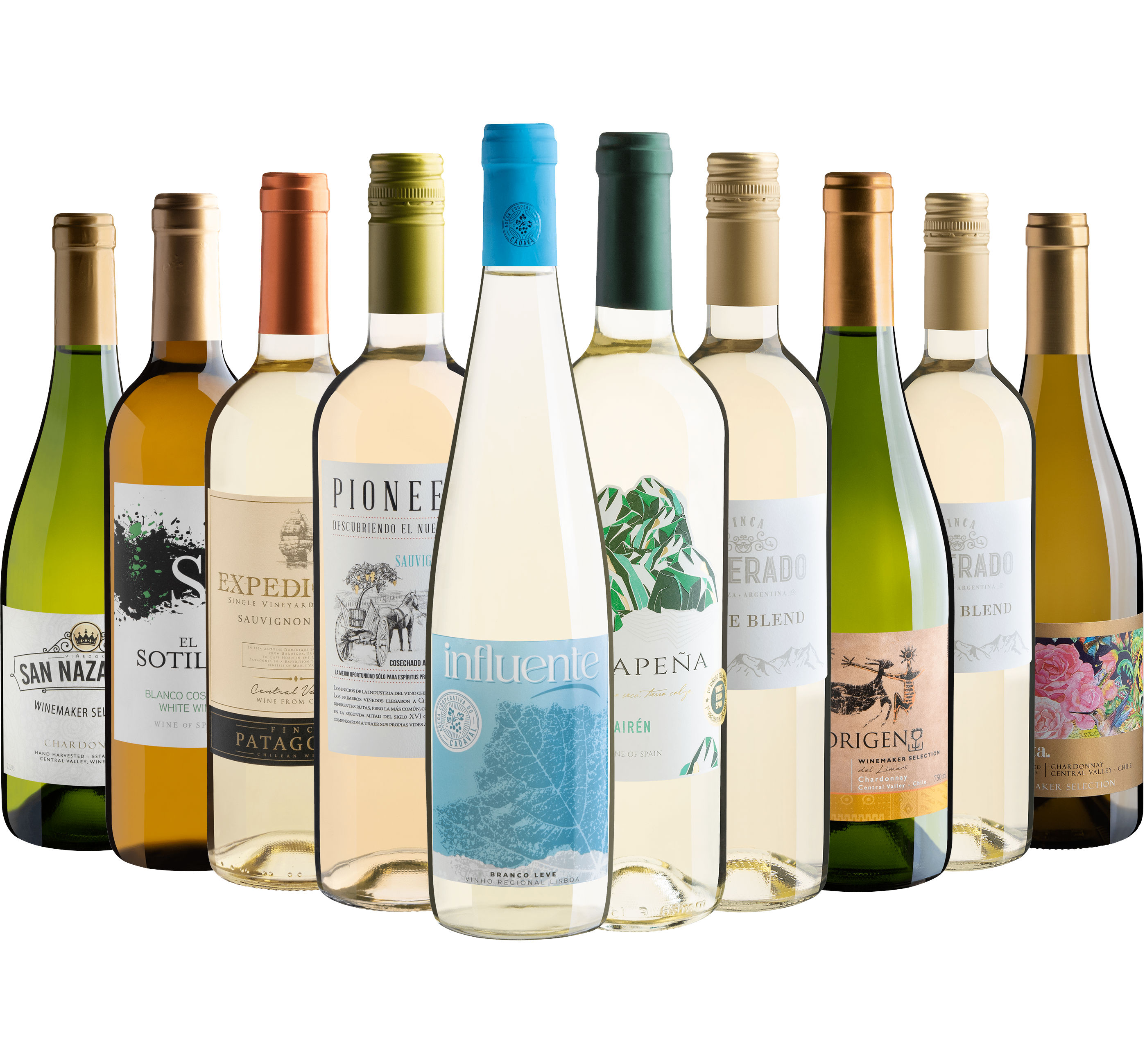 Kit 10 Vinhos Brancos