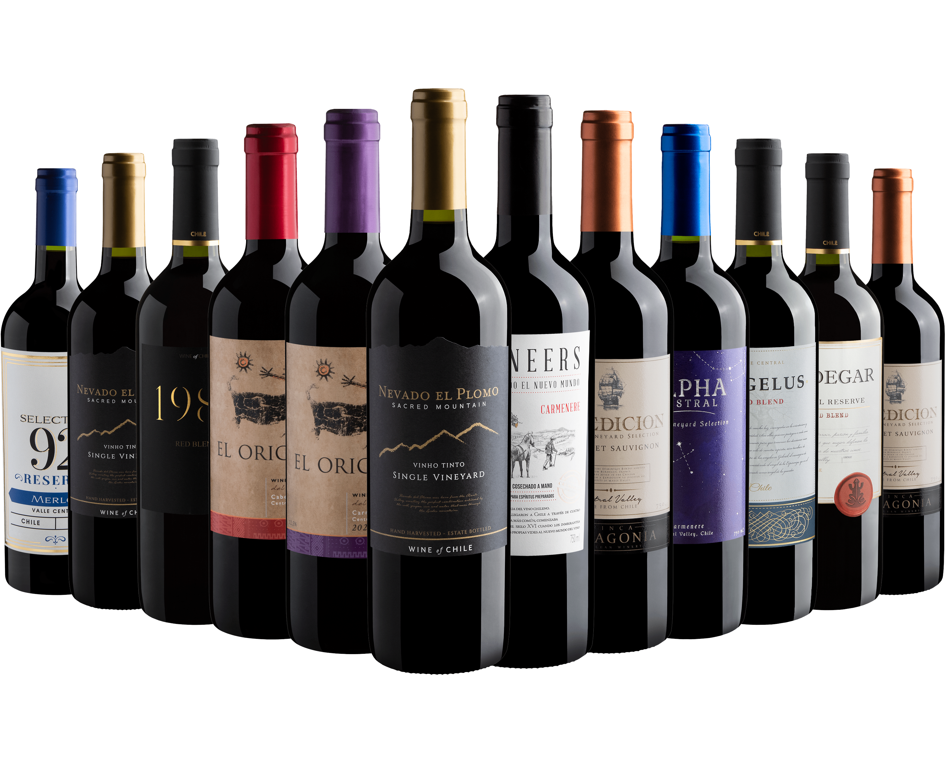 Kit 12 Vinhos Chilenos