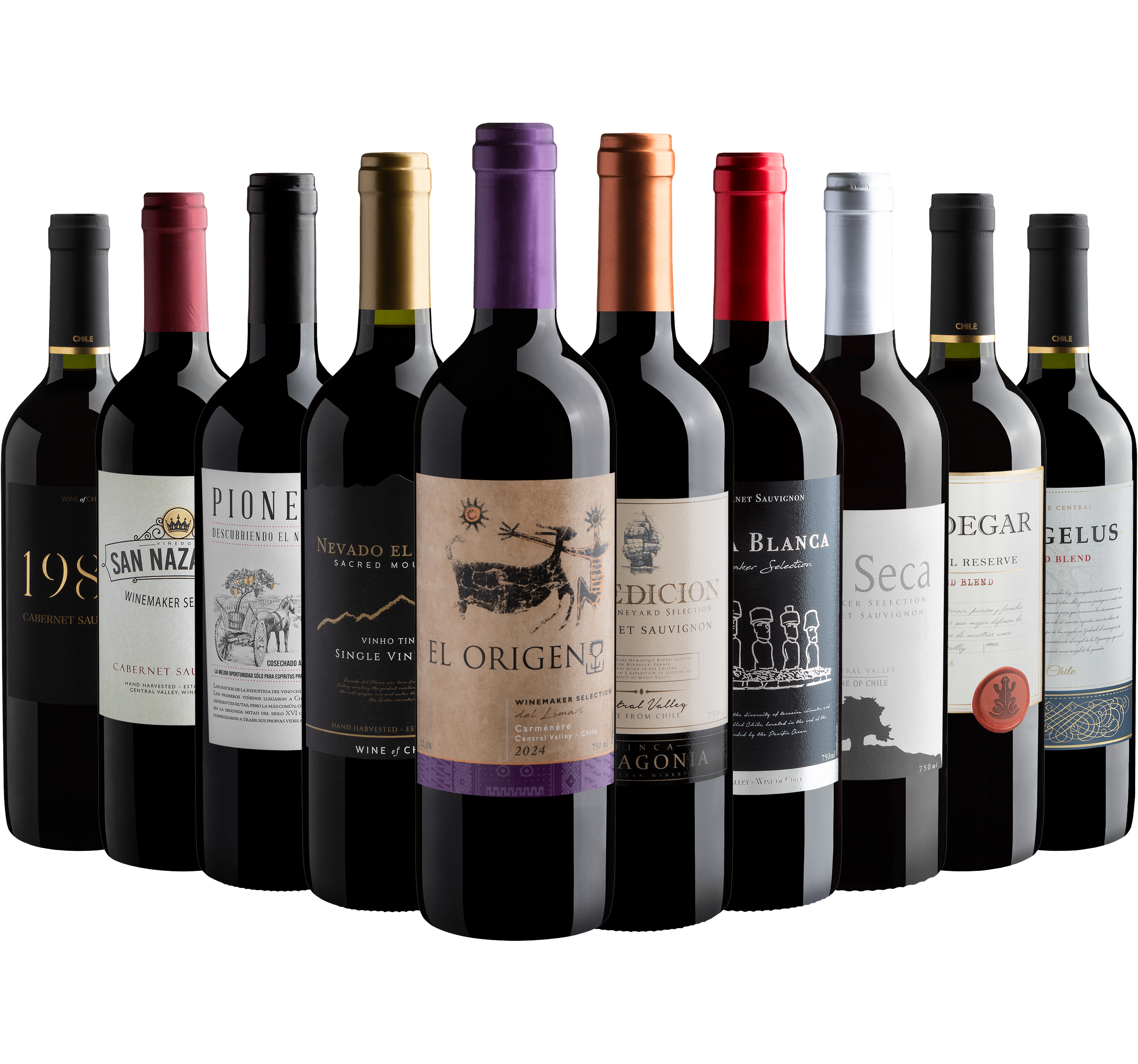 Kit 10 Vinhos Chilenos