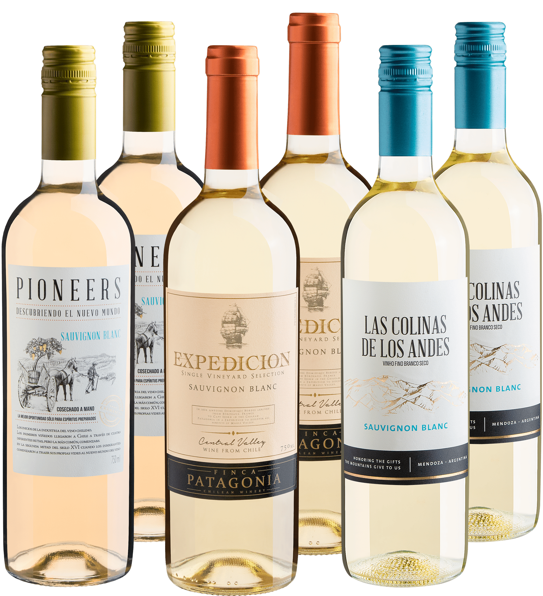 Kit Sauvignon Blanc em Dobro | 6 garrafas