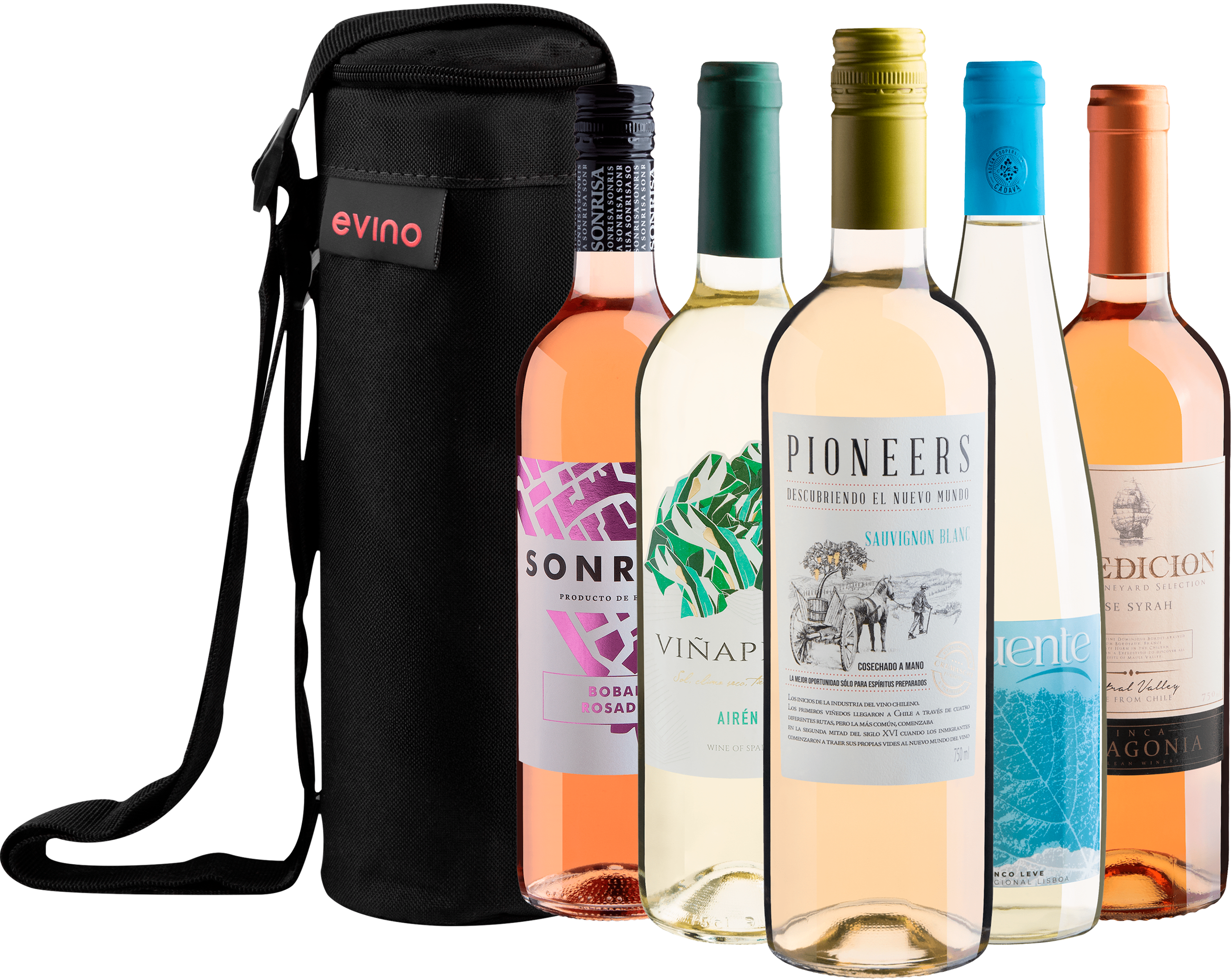 Kit 5 Vinhos Refrescantes + Bolsa Exclusiva