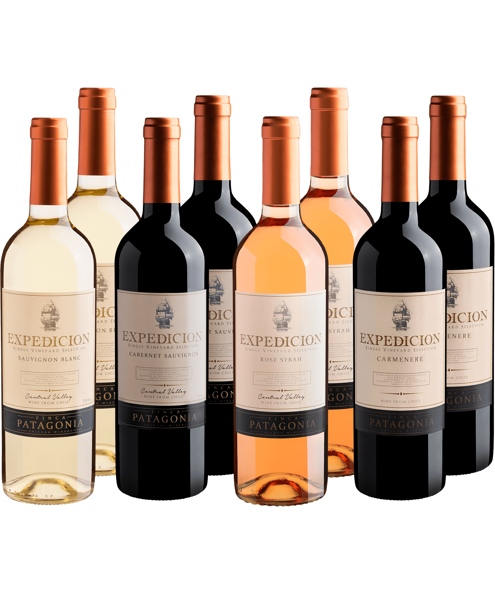 Kit Expedicion: 2 Cabernet Sauvignon + 2 Carménère + 2 Syrah Rosé + 2 Sauvignon Blanc