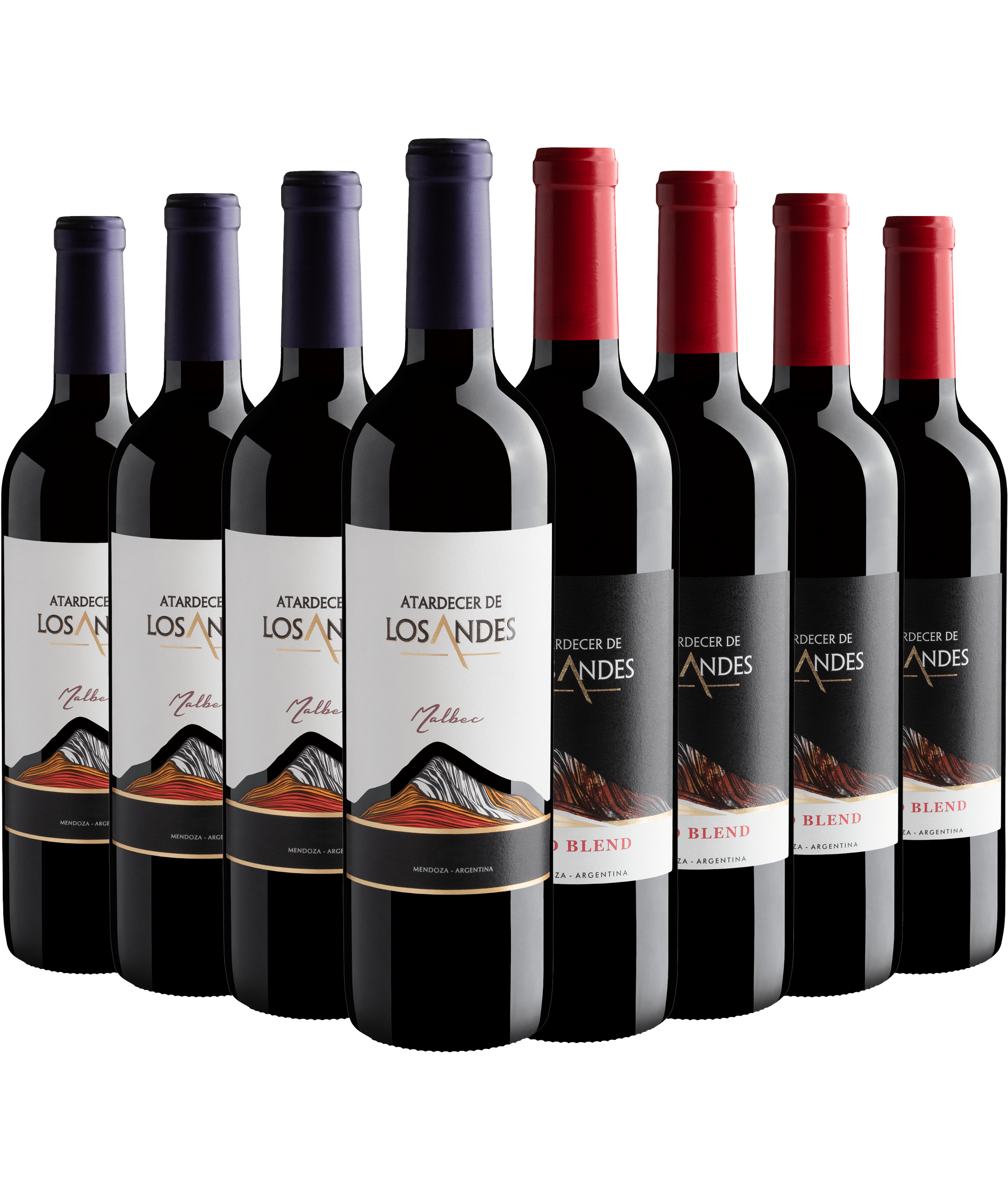 Kit Atardecer de Los Andes: 4 Malbec + 4 Red Blend
