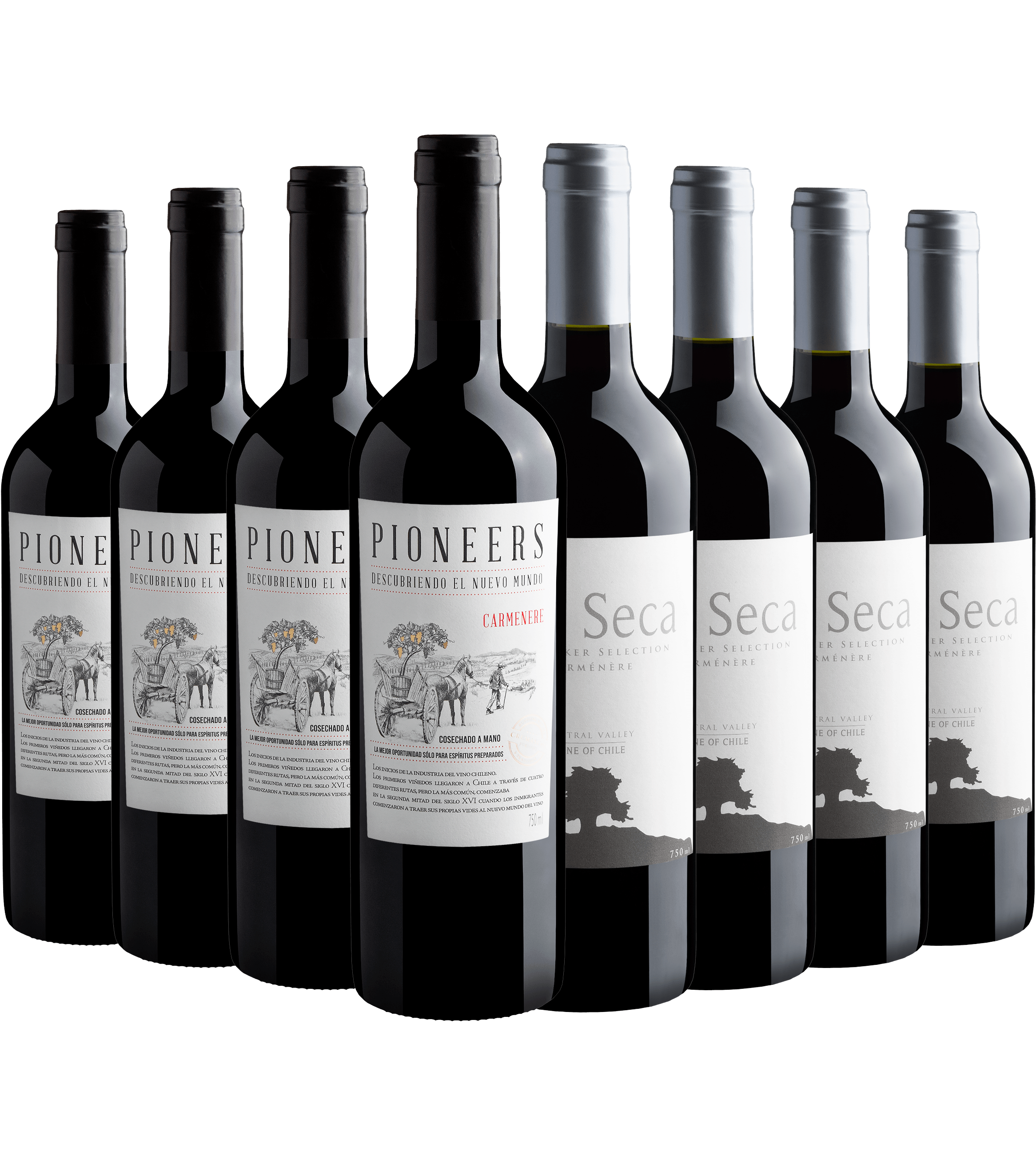 Kit Carménère | 4 Pioneers + 4 Isla Seca Winemaker