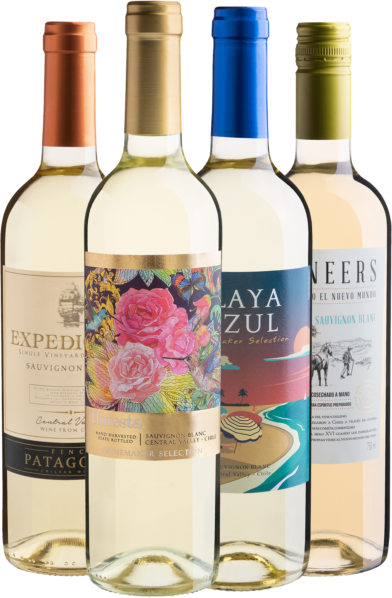Kit 4 Sauvignons Blancs