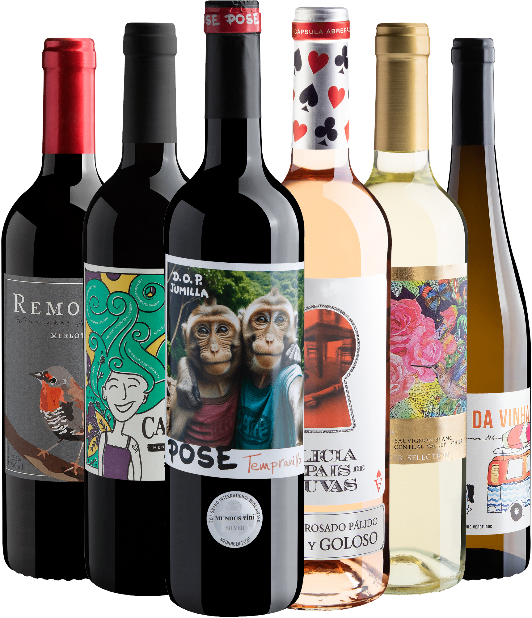 Kit 6 Vinhos Colecionáveis
