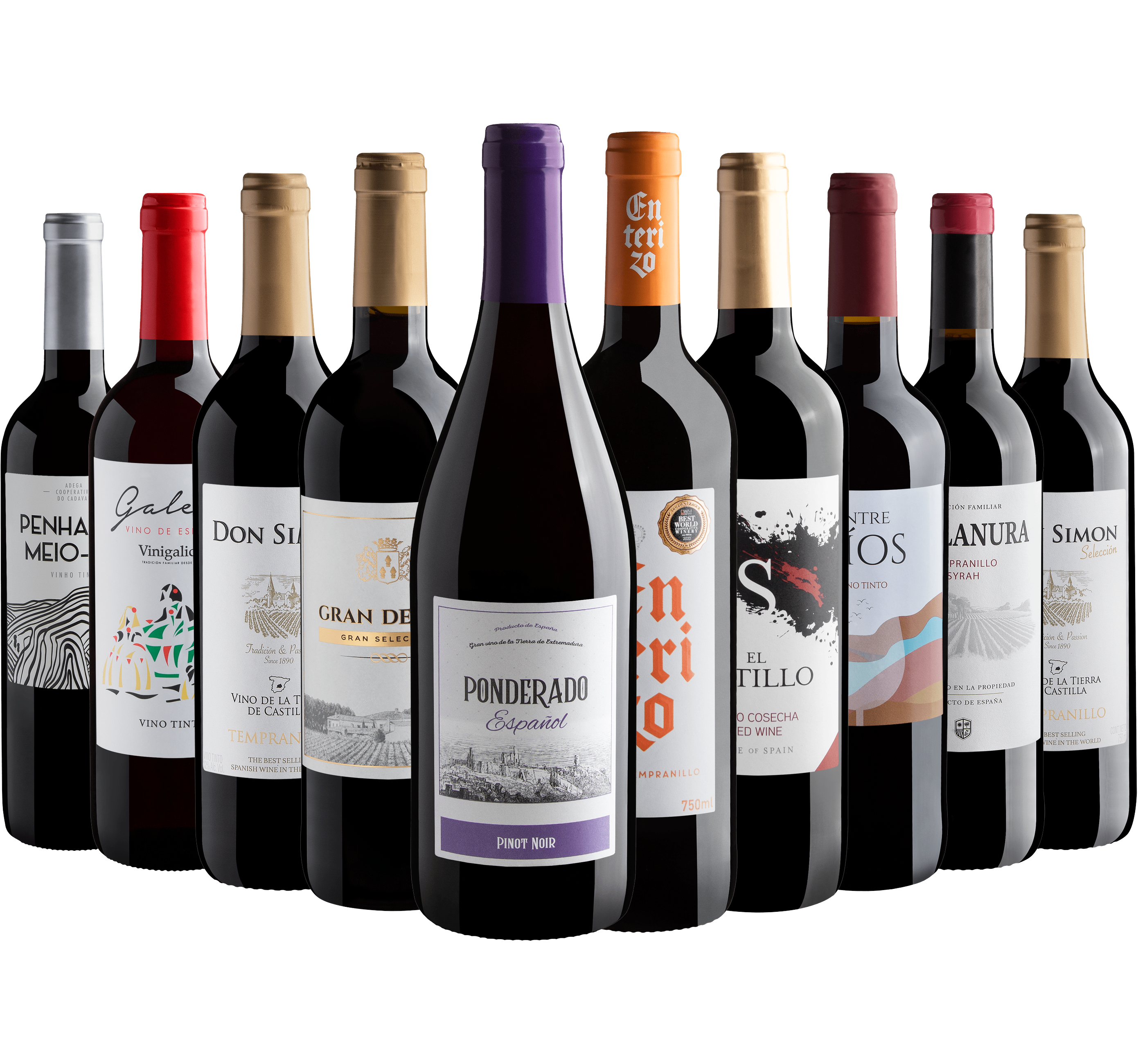 Kit 10 Vinhos do Velho Mundo