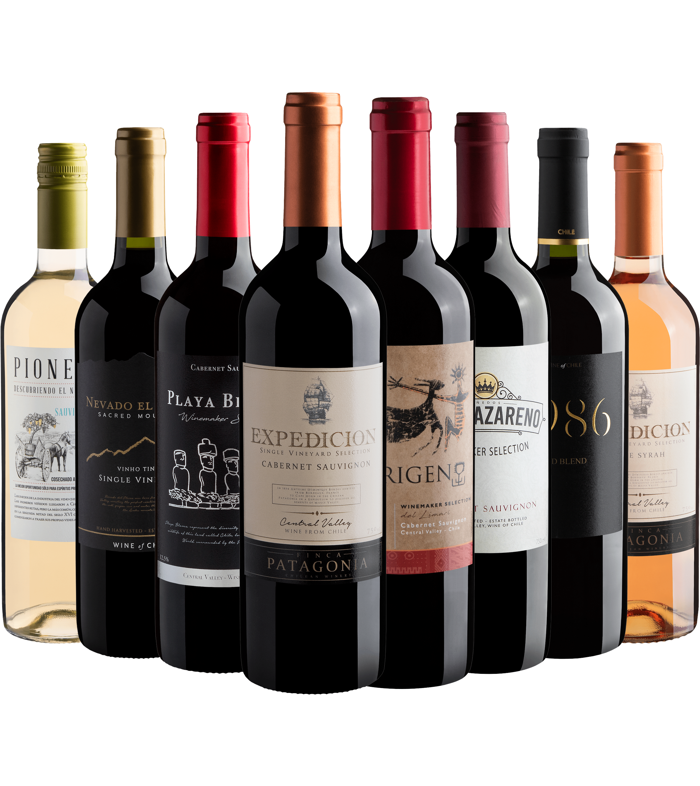 Kit 8 Vinhos Chilenos