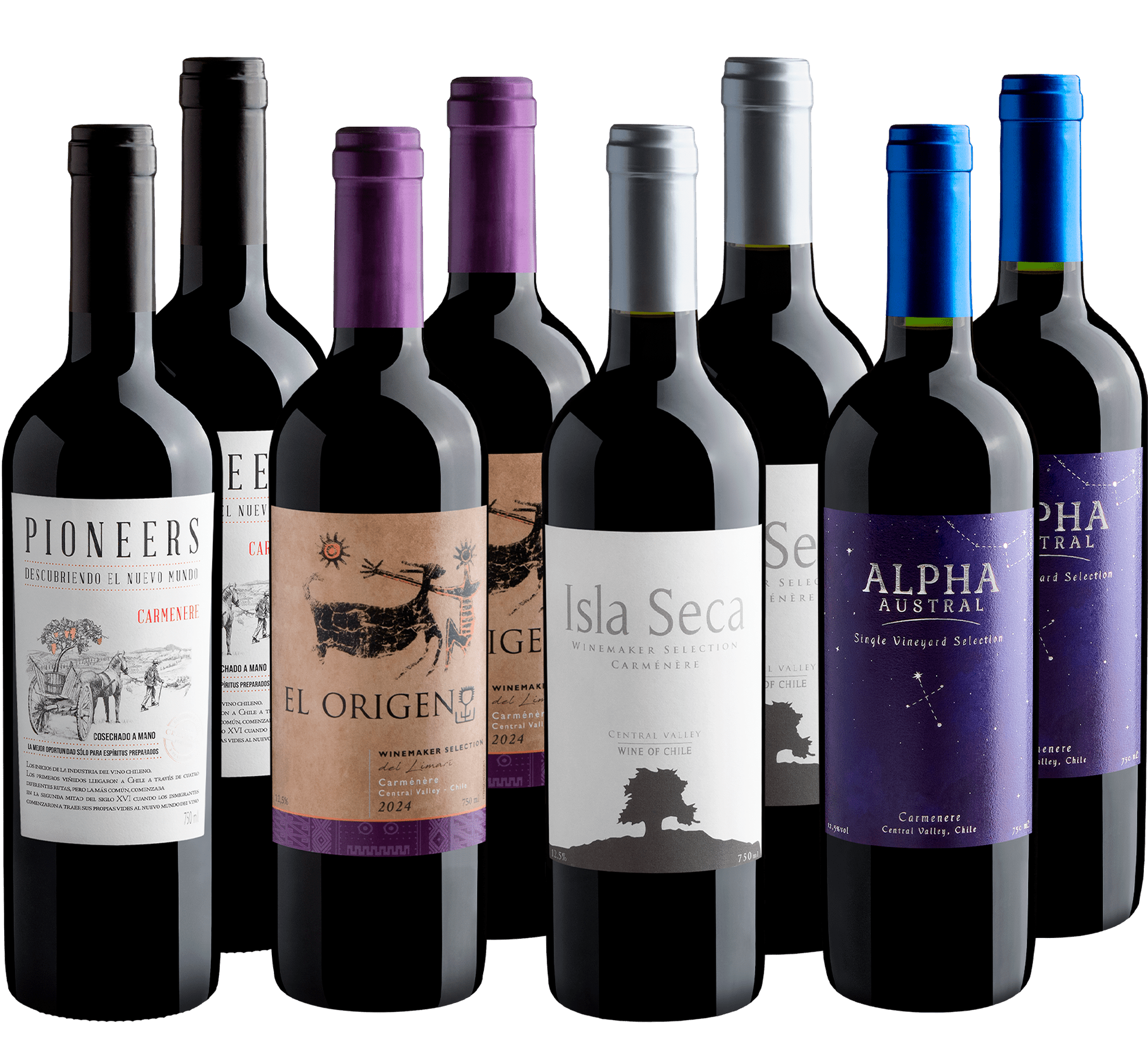 Kit Carménère em Dobro | 8 garrafas