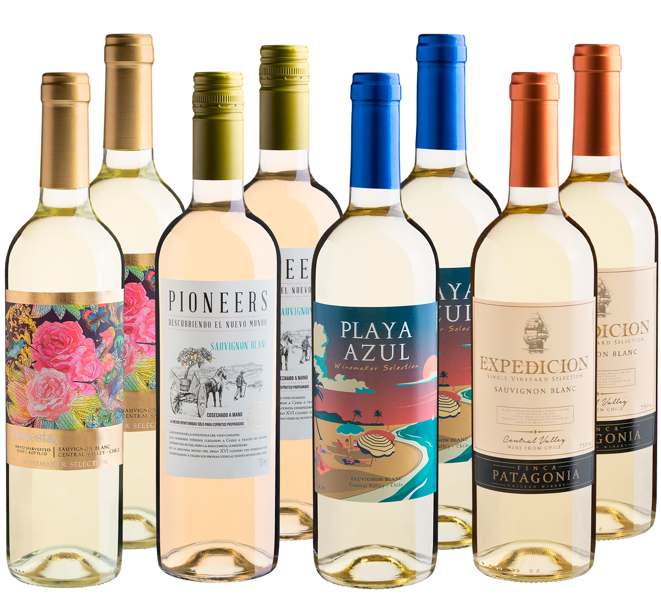 Kit Sauvignons Blancs em Dobro | 8 garrafas