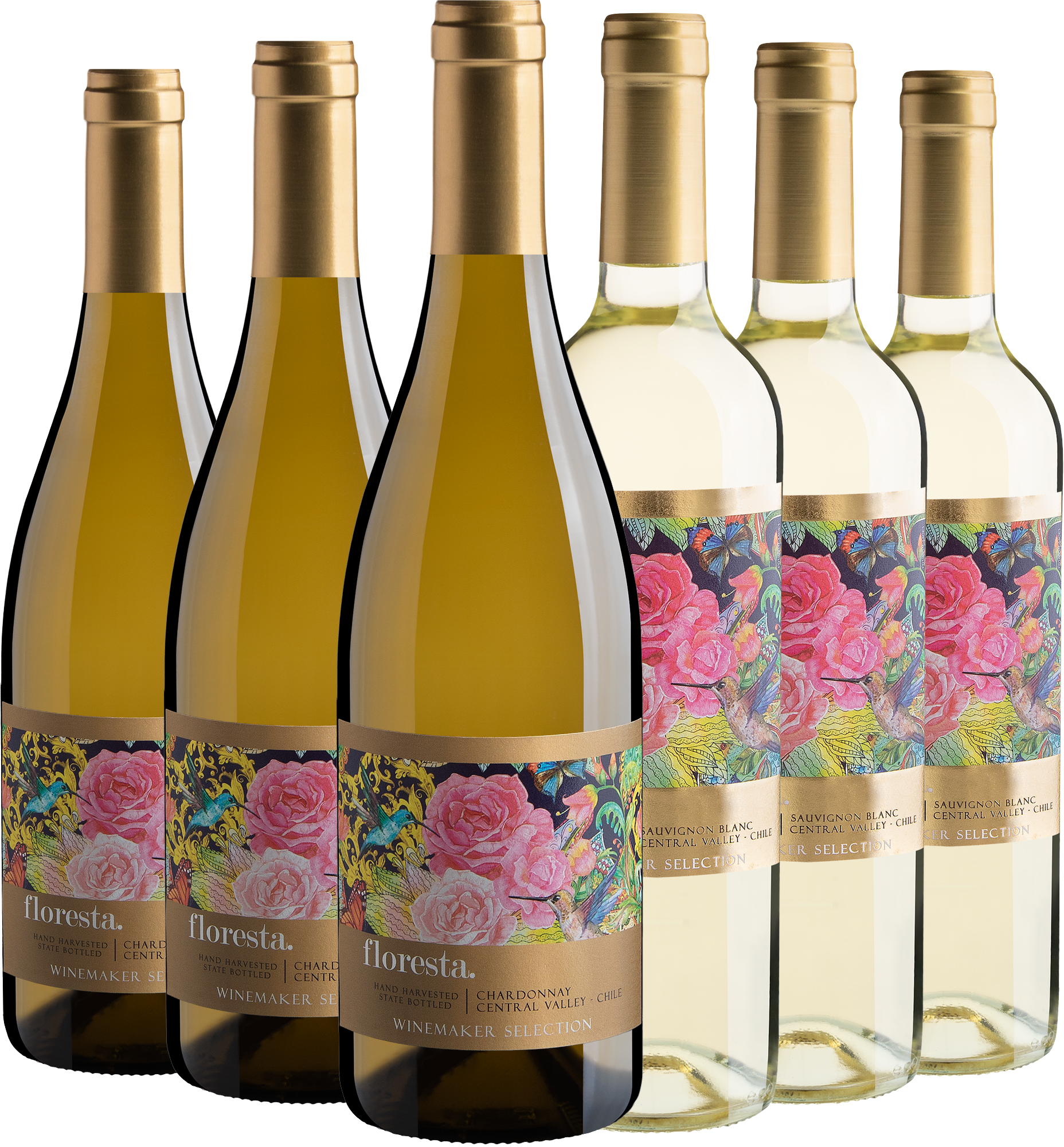 Kit Floresta Winemaker Selection: 3 Chardonnay + 3 Sauvignon Blanc