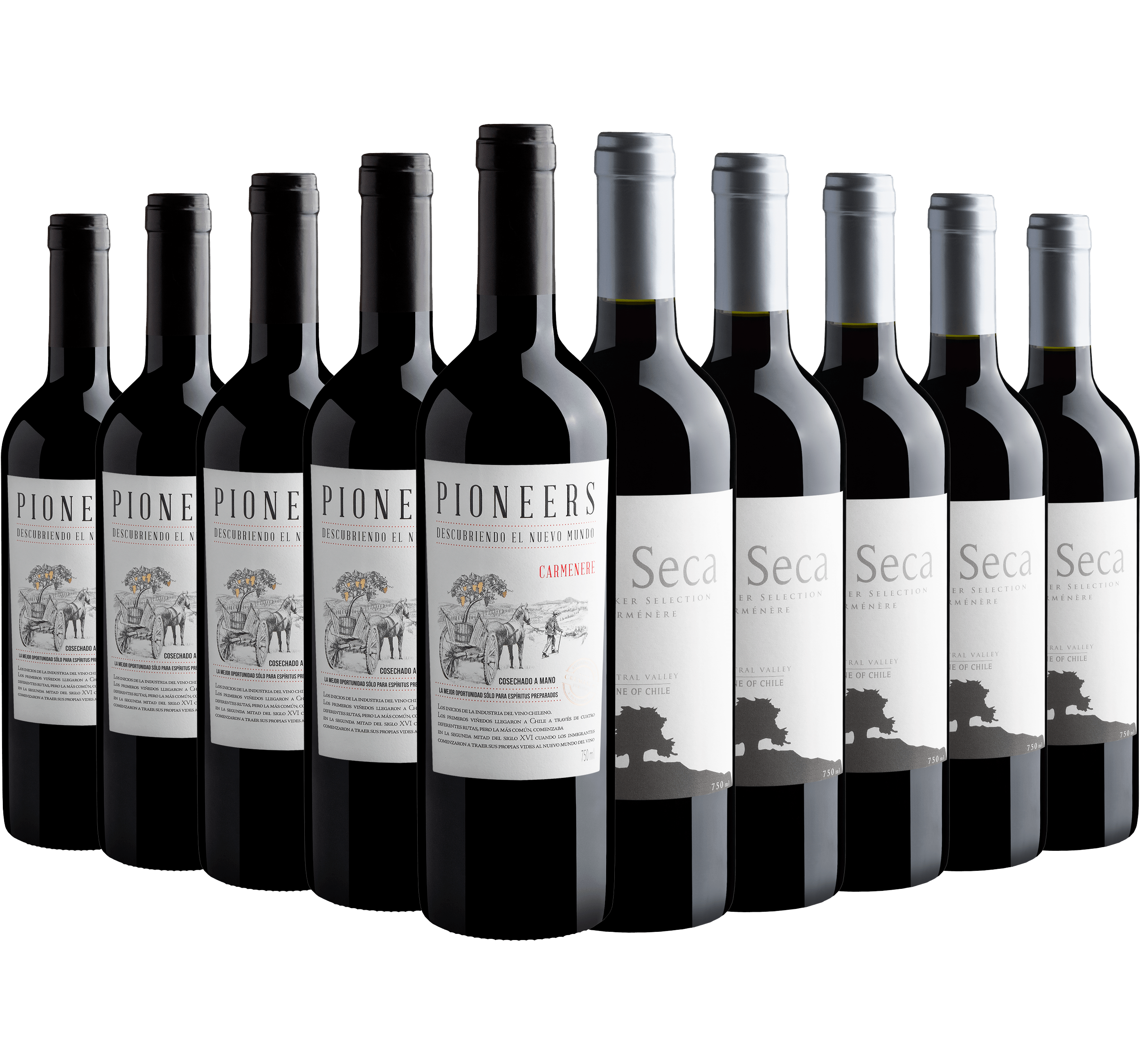 Kit Carménère | 5 Pioneers + 5 Isla Seca Winemaker