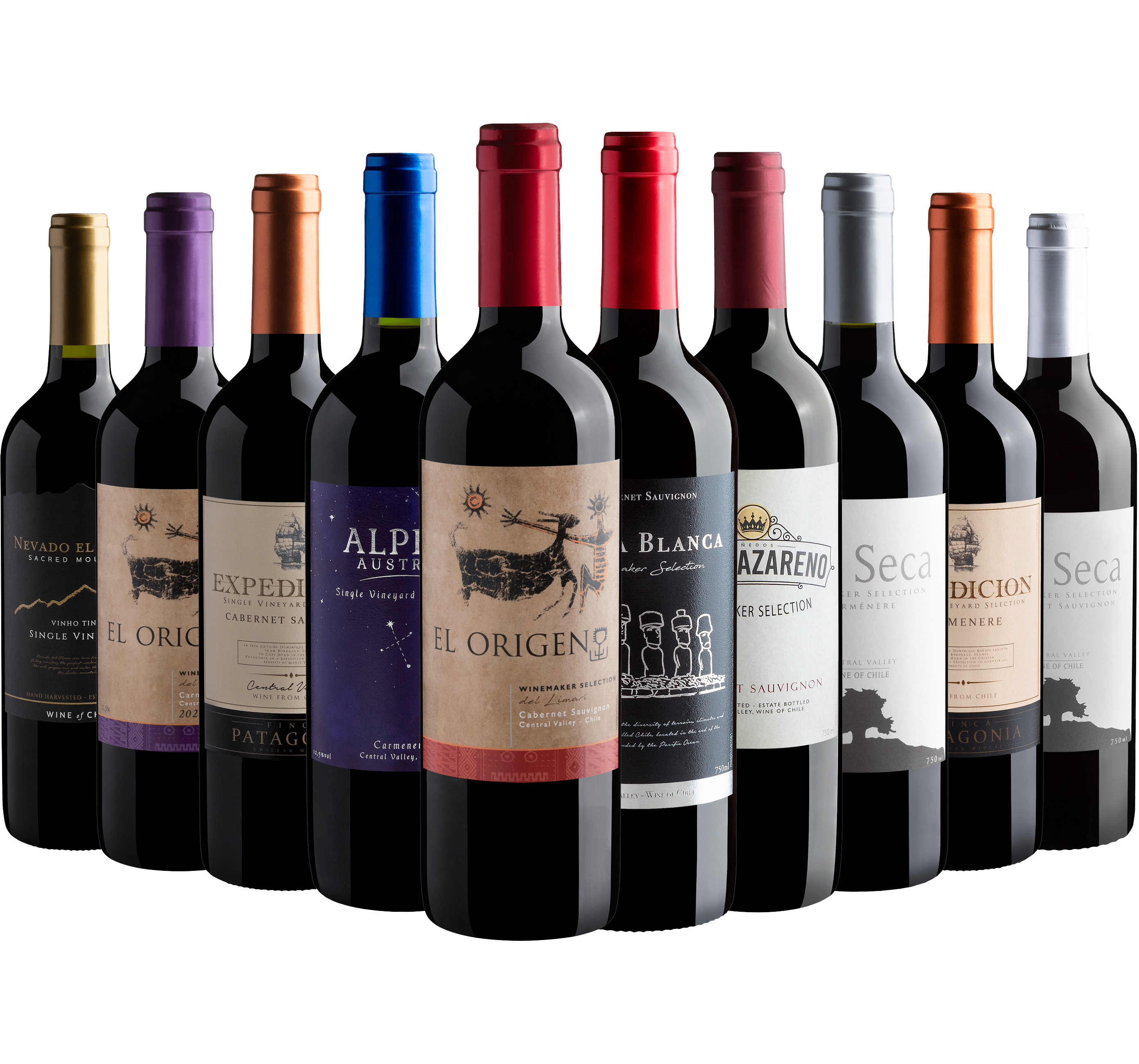 Kit 10 Vinhos Chilenos para o Inverno
