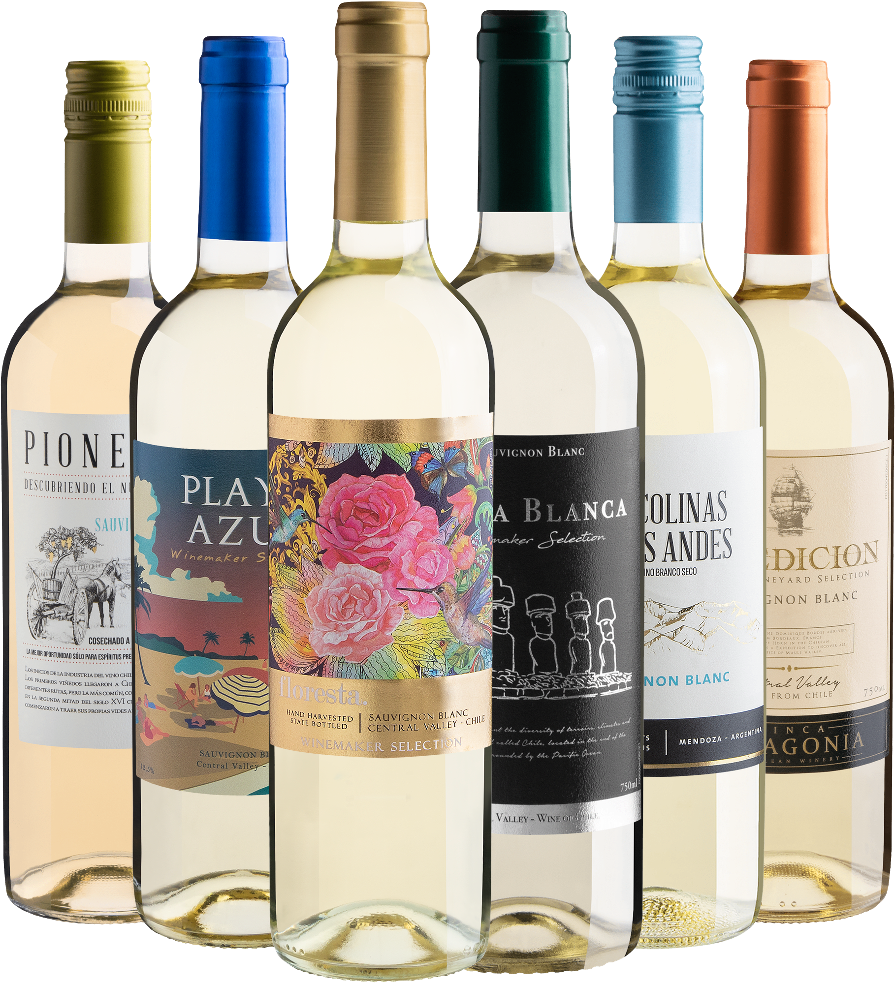 Kit 6 Sauvignons Blancs