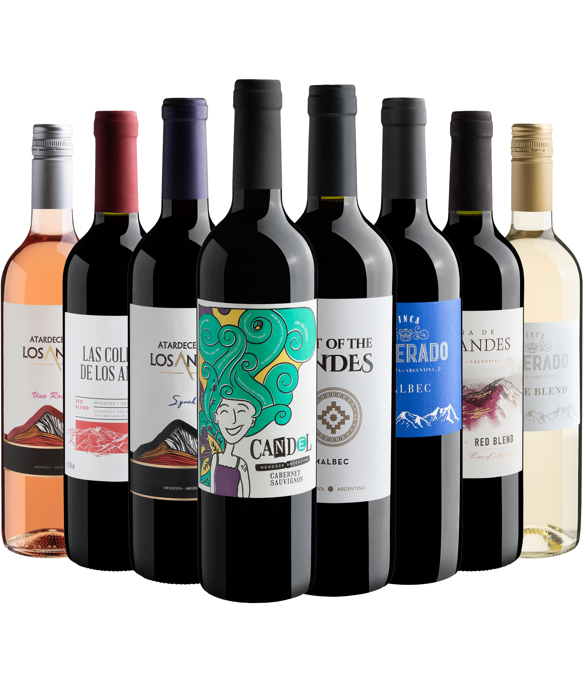 Kit 8 Vinhos Argentinos