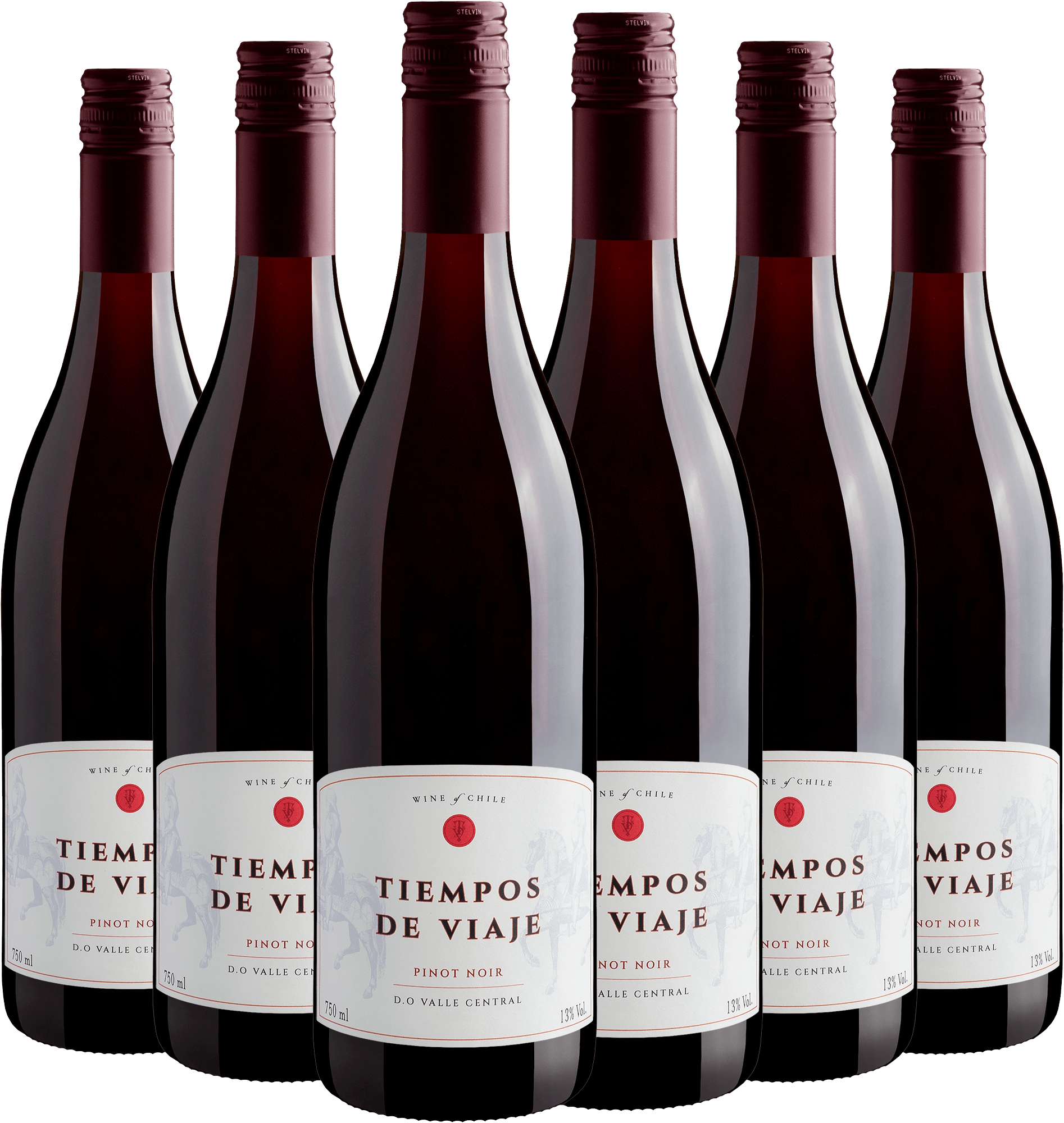 Kit 6 Tiempos de Viaje Pinot Noir Valle Central D.O.