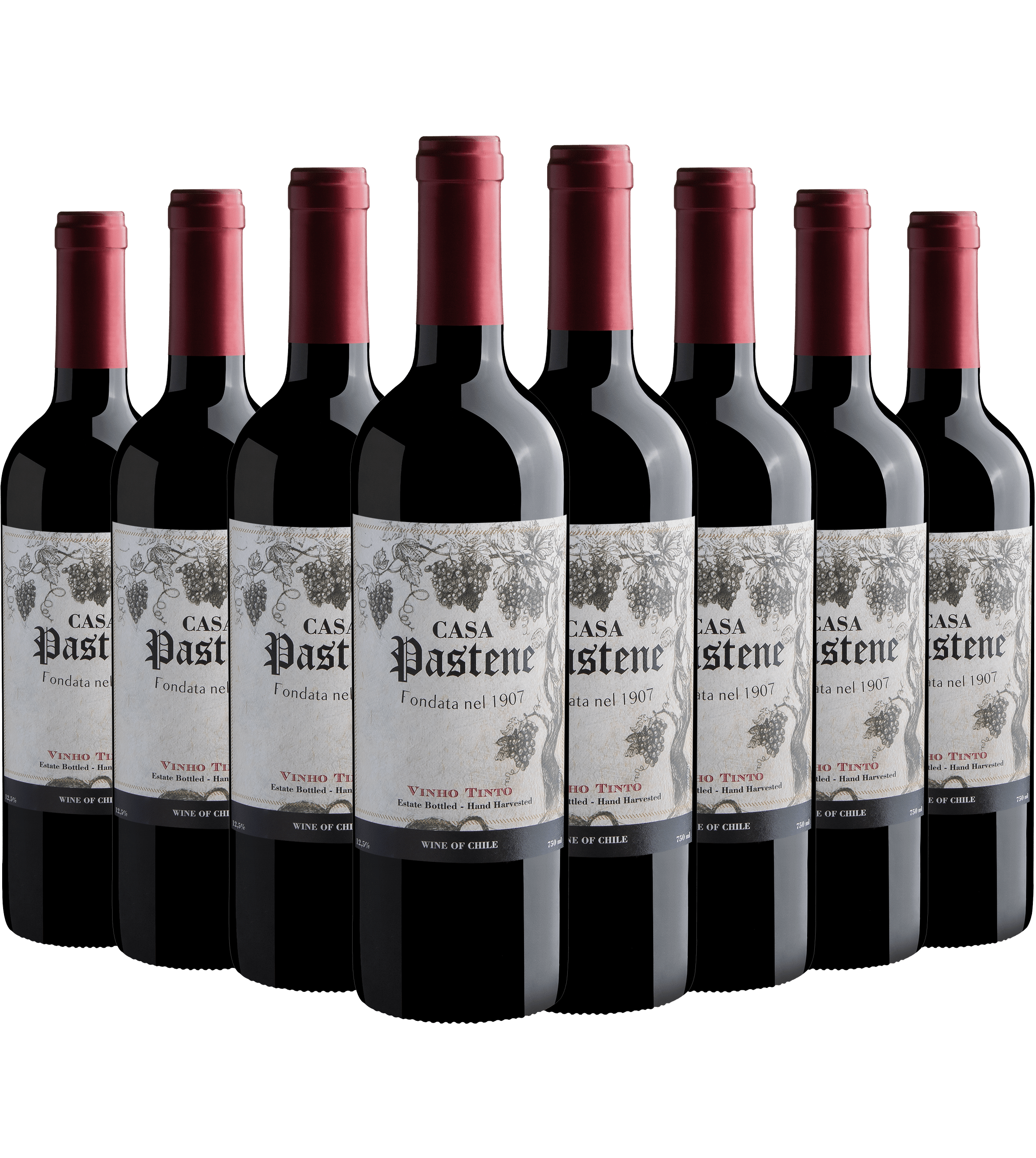 Kit 8 Casa Pastene Vinho Tinto