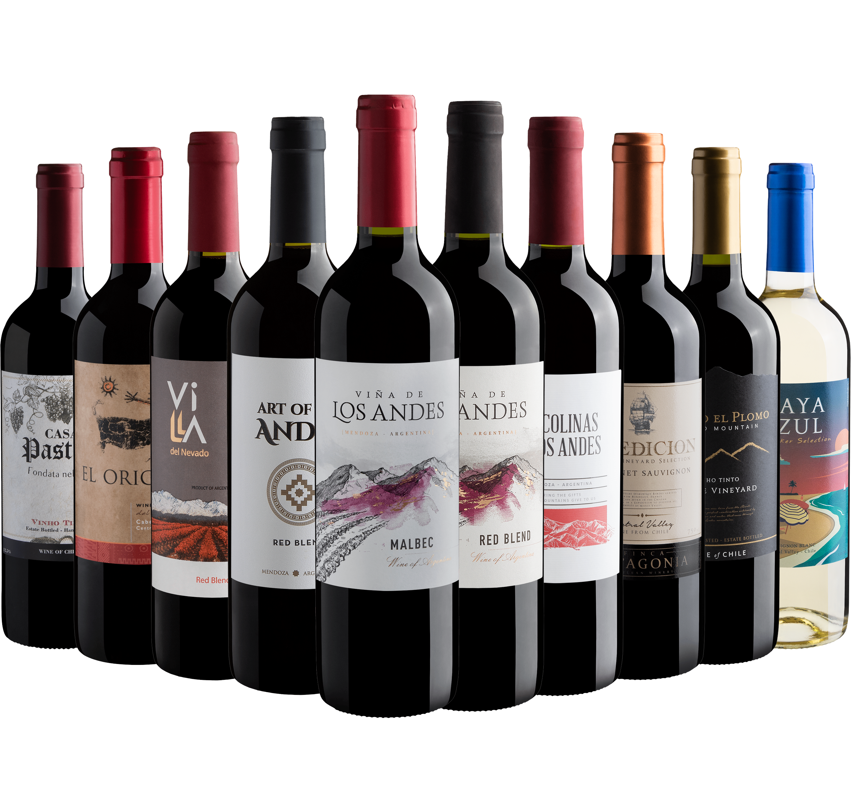 Kit 10 Vinhos do Novo Mundo