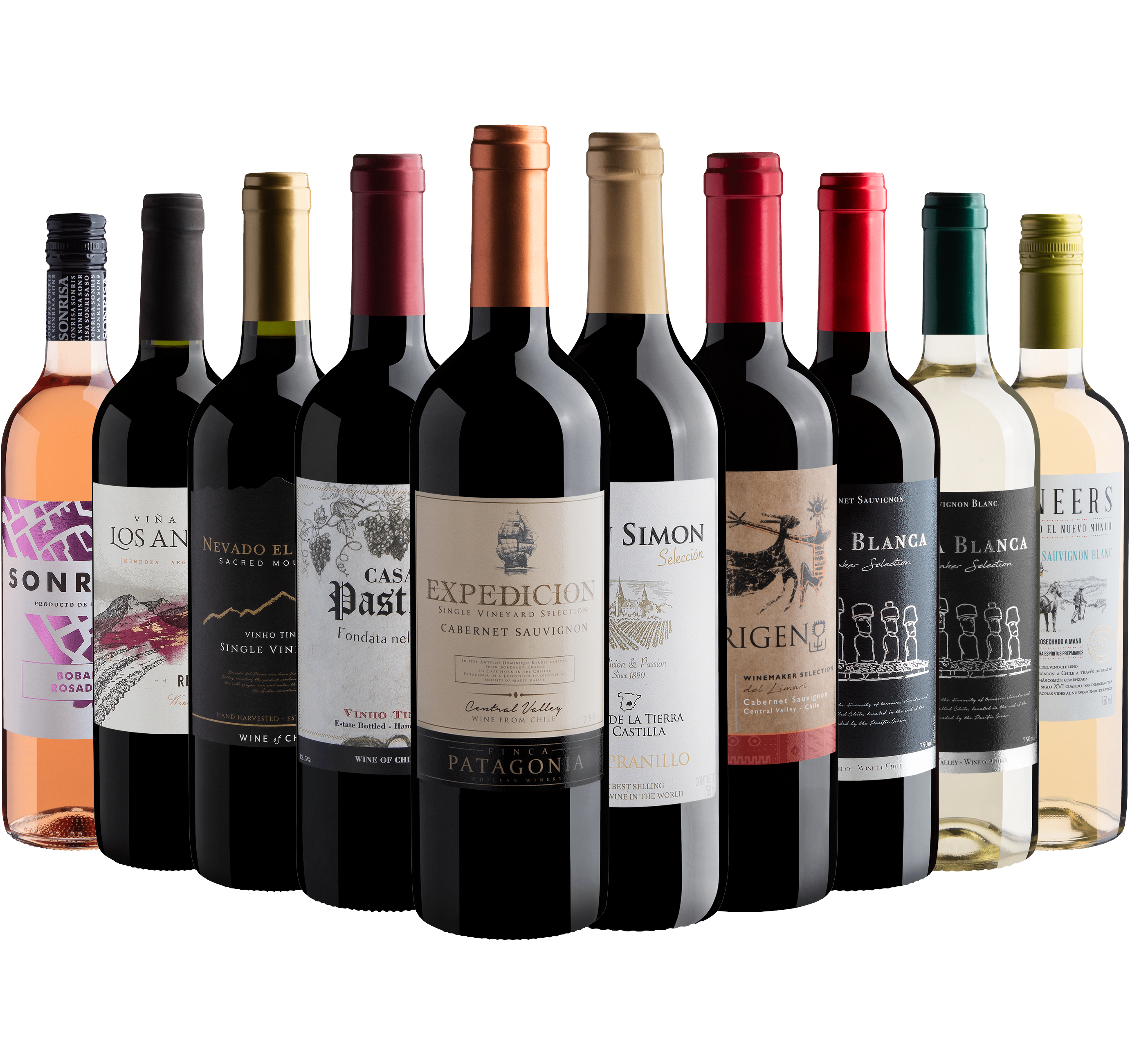 Kit 10 Vinhos