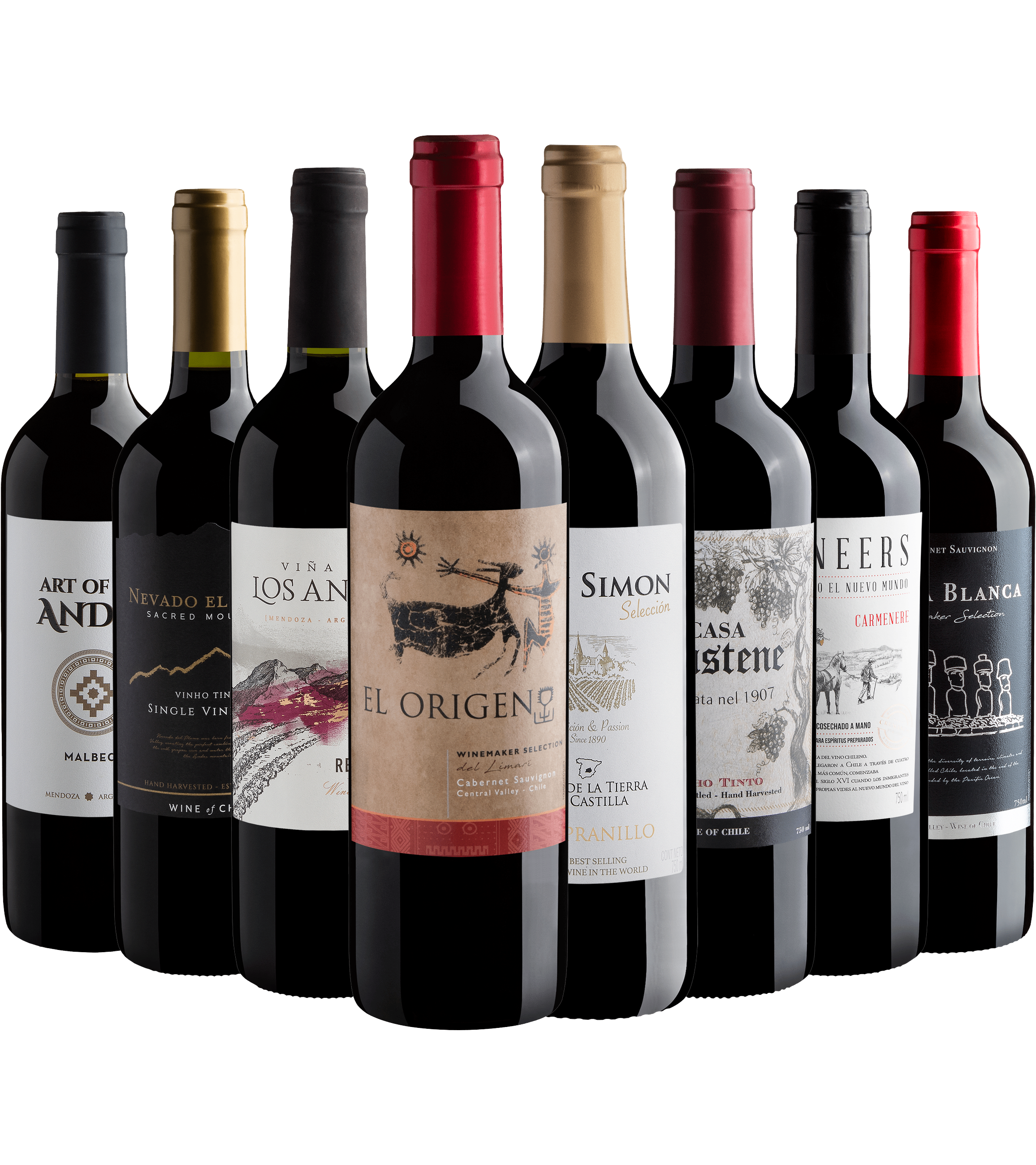 Kit 8 Vinhos Tintos