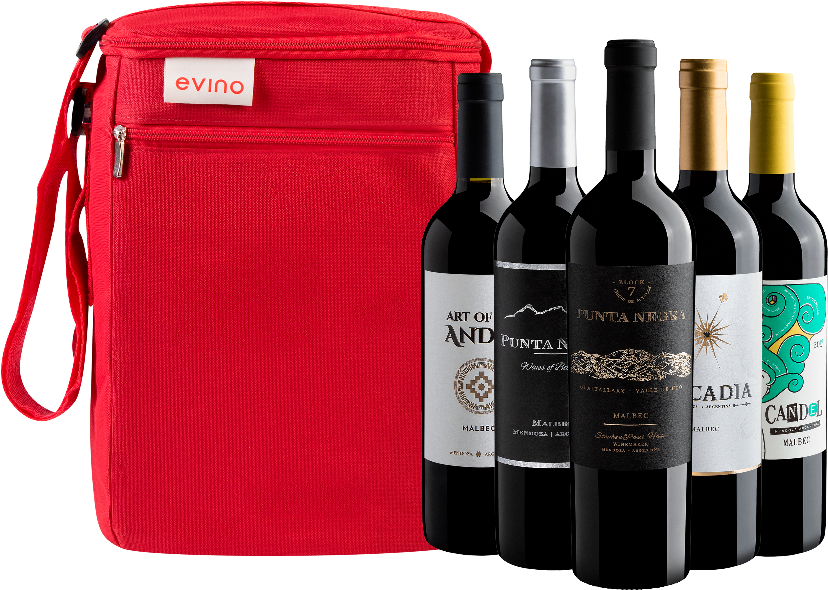 Kit 5 Malbecs Argentinos + Bolsa Exclusiva
