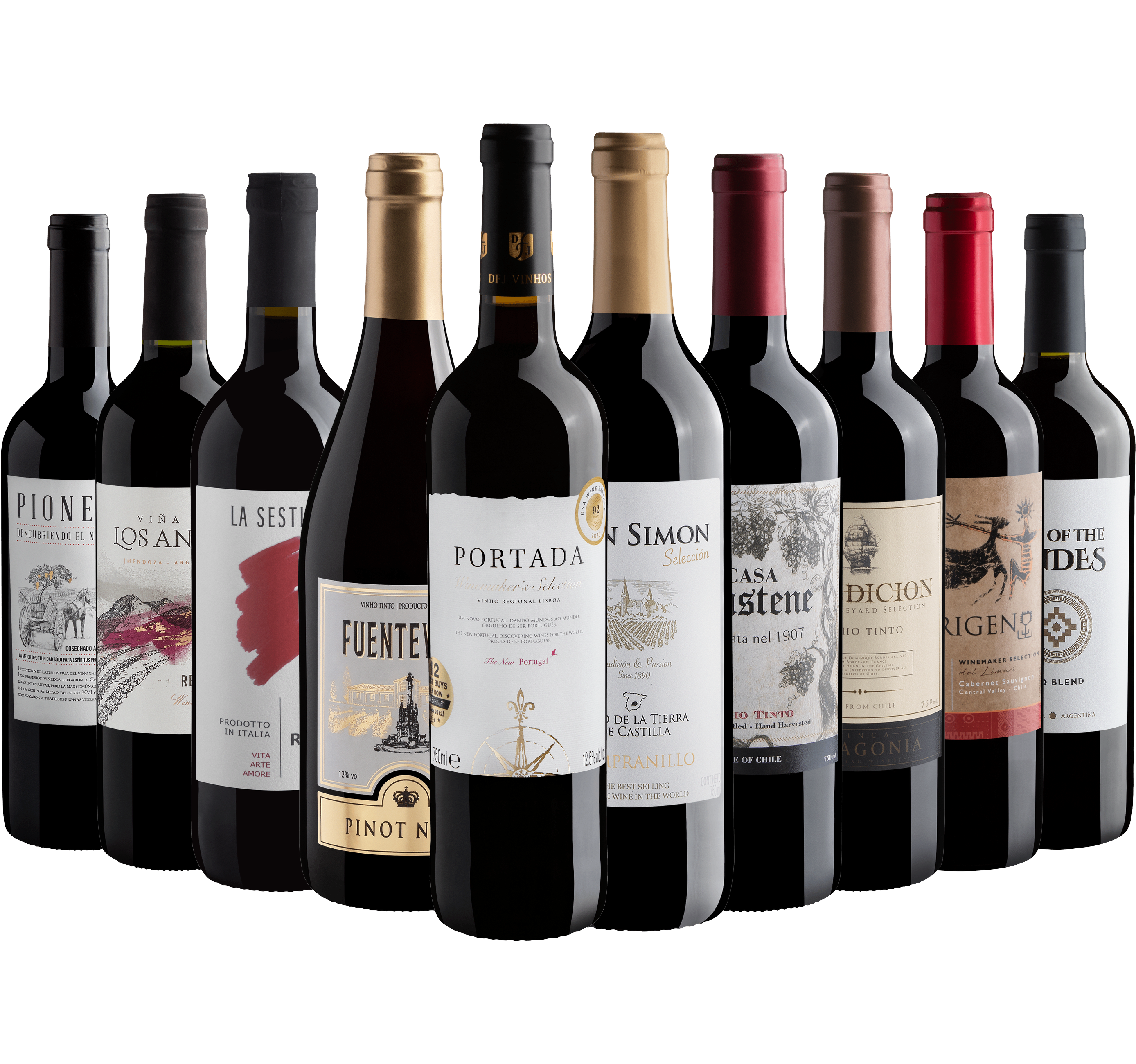 Kit 10 Vinhos Tintos com Portada Winemaker’s
