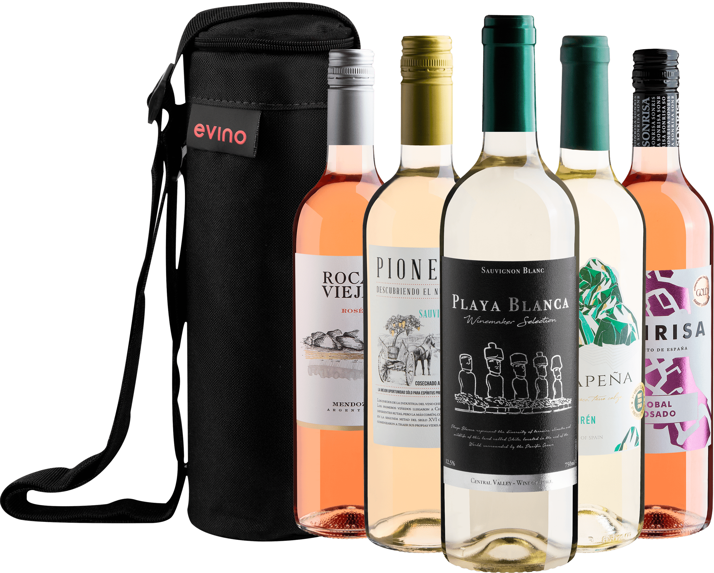 Kit 5 Vinhos Leves + Bolsa Exclusiva