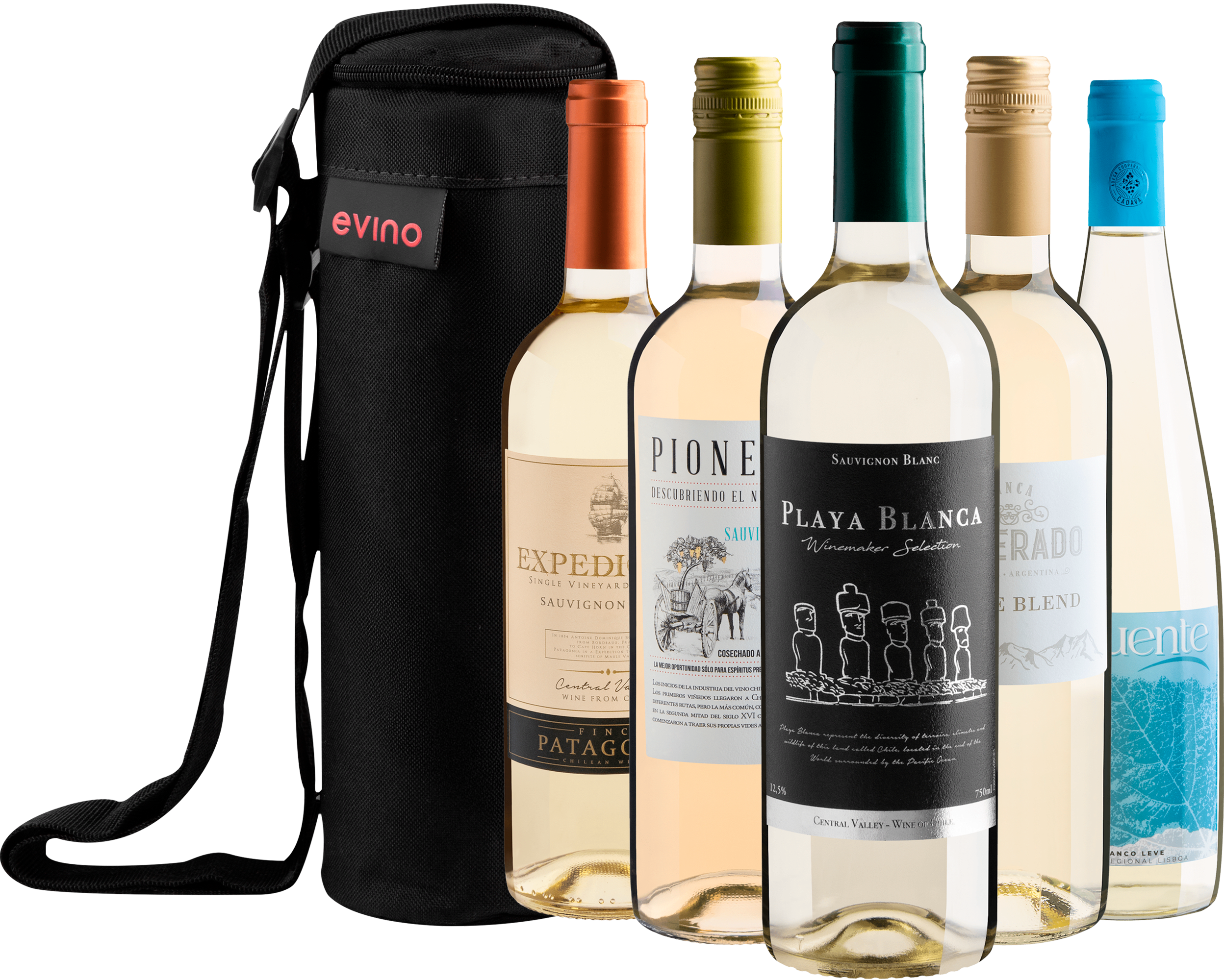 Kit 5 Vinhos Brancos + Bolsa Exclusiva