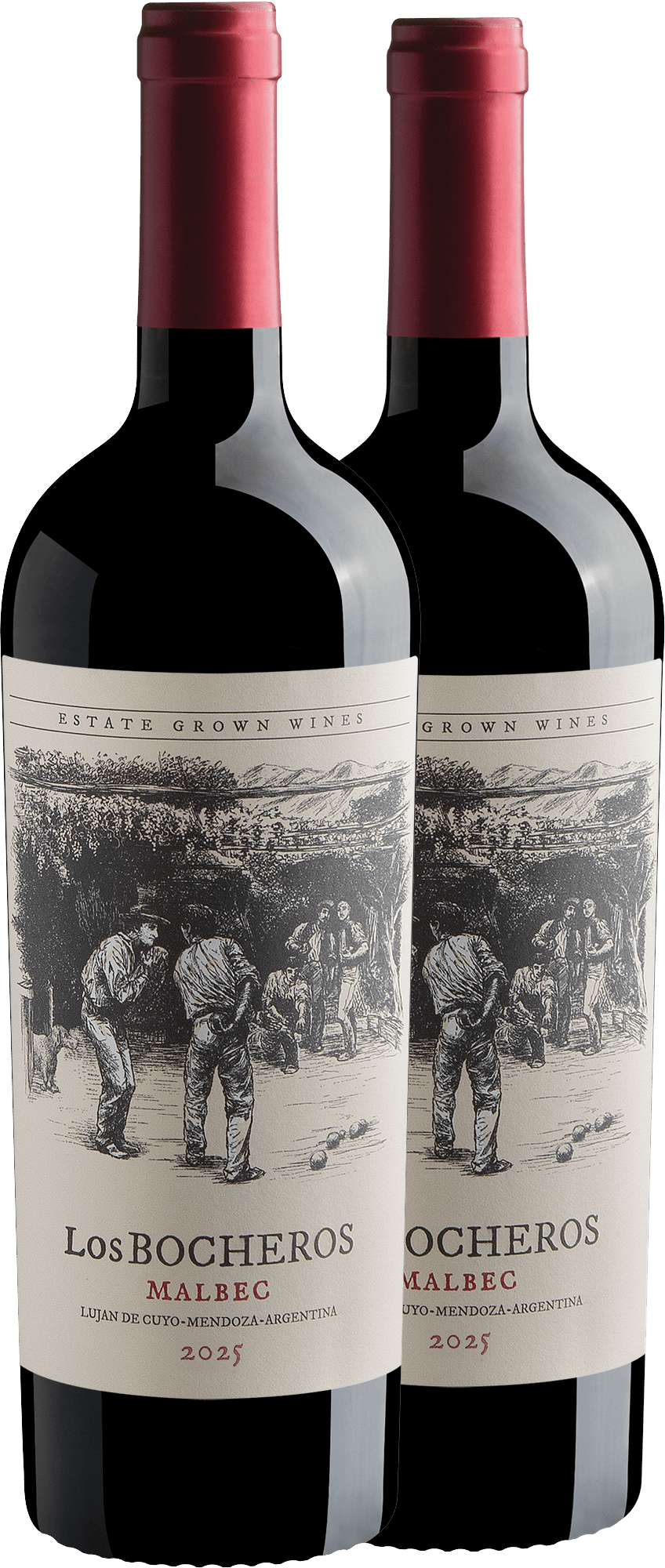 Kit 2 Los Bocheros Malbec