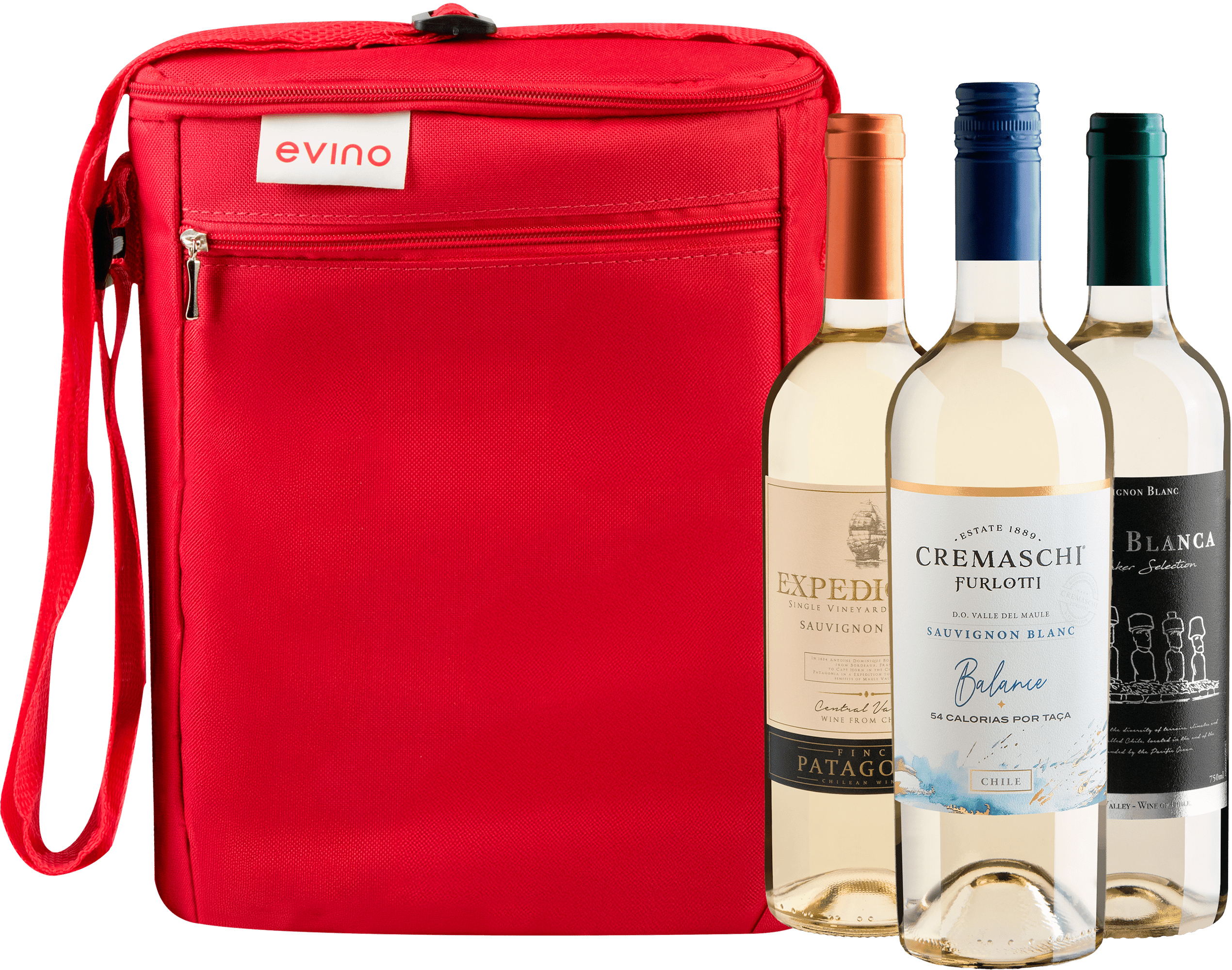 Kit 3 Sauvignons Blancs + Bolsa Exclusiva
