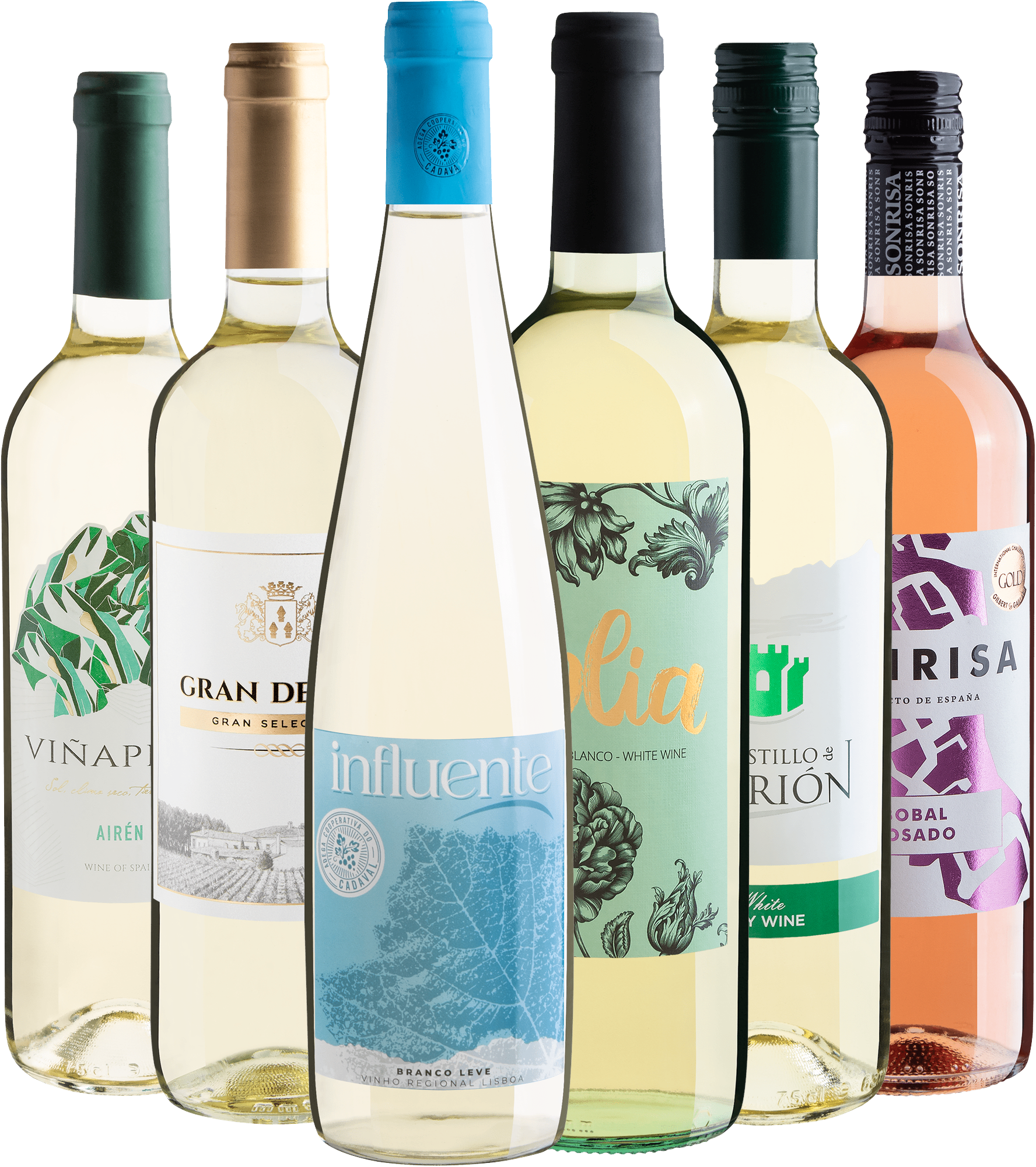 Kit 6 Vinhos Refrescantes do Velho Mundo