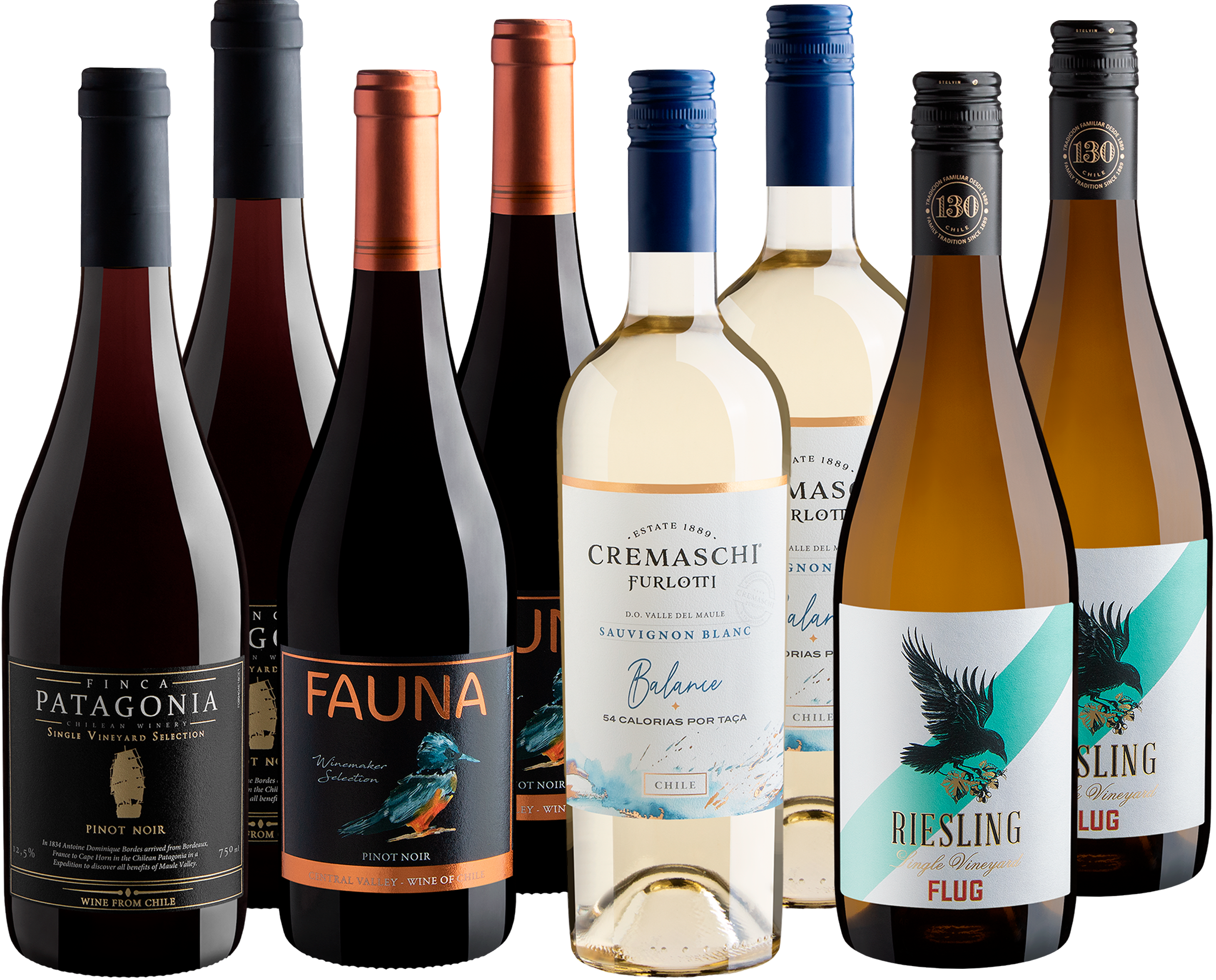 Kit Vinhos Chilenos em Dobro | 8 garrafas