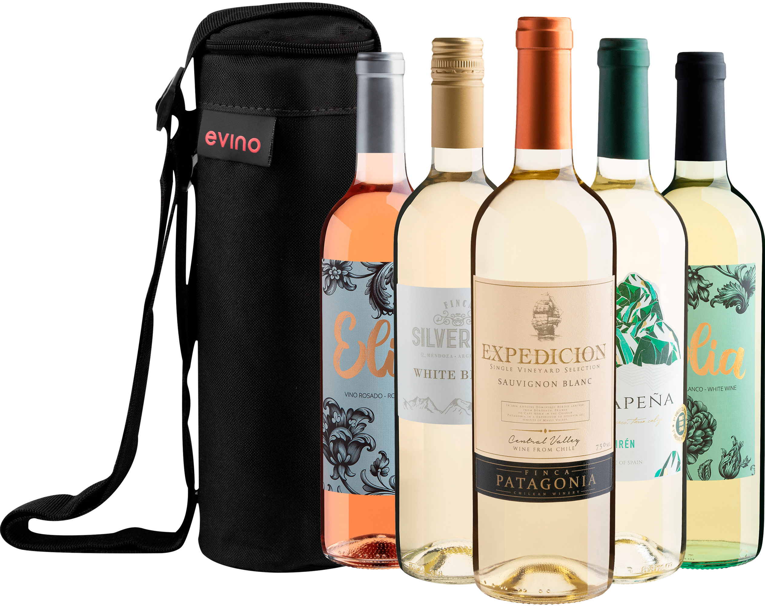 5 Vinhos Refrescantes com Bolsa