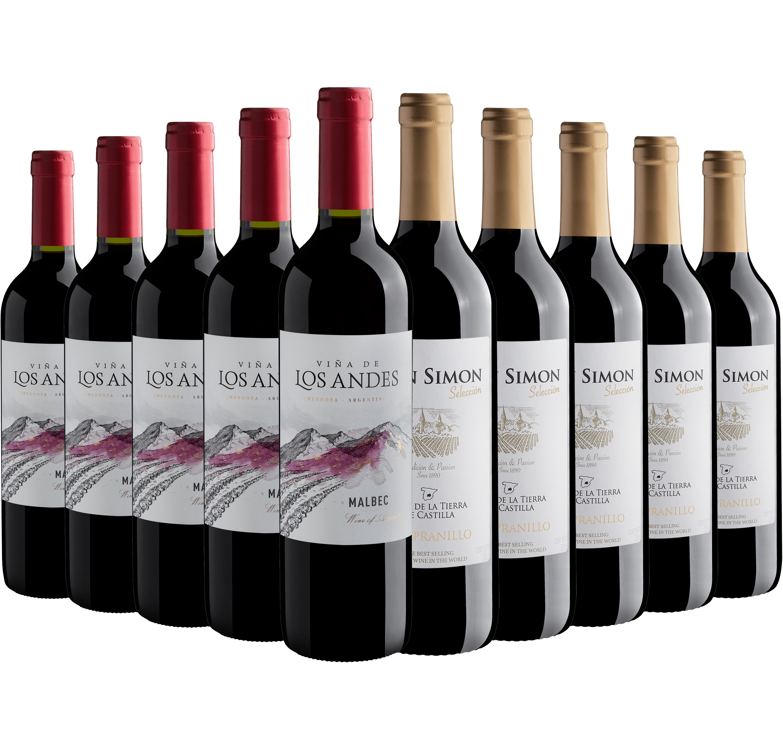 Kit 5 Don Simon Selección Tempranillo + 5 Viña de Los Andes Malbec