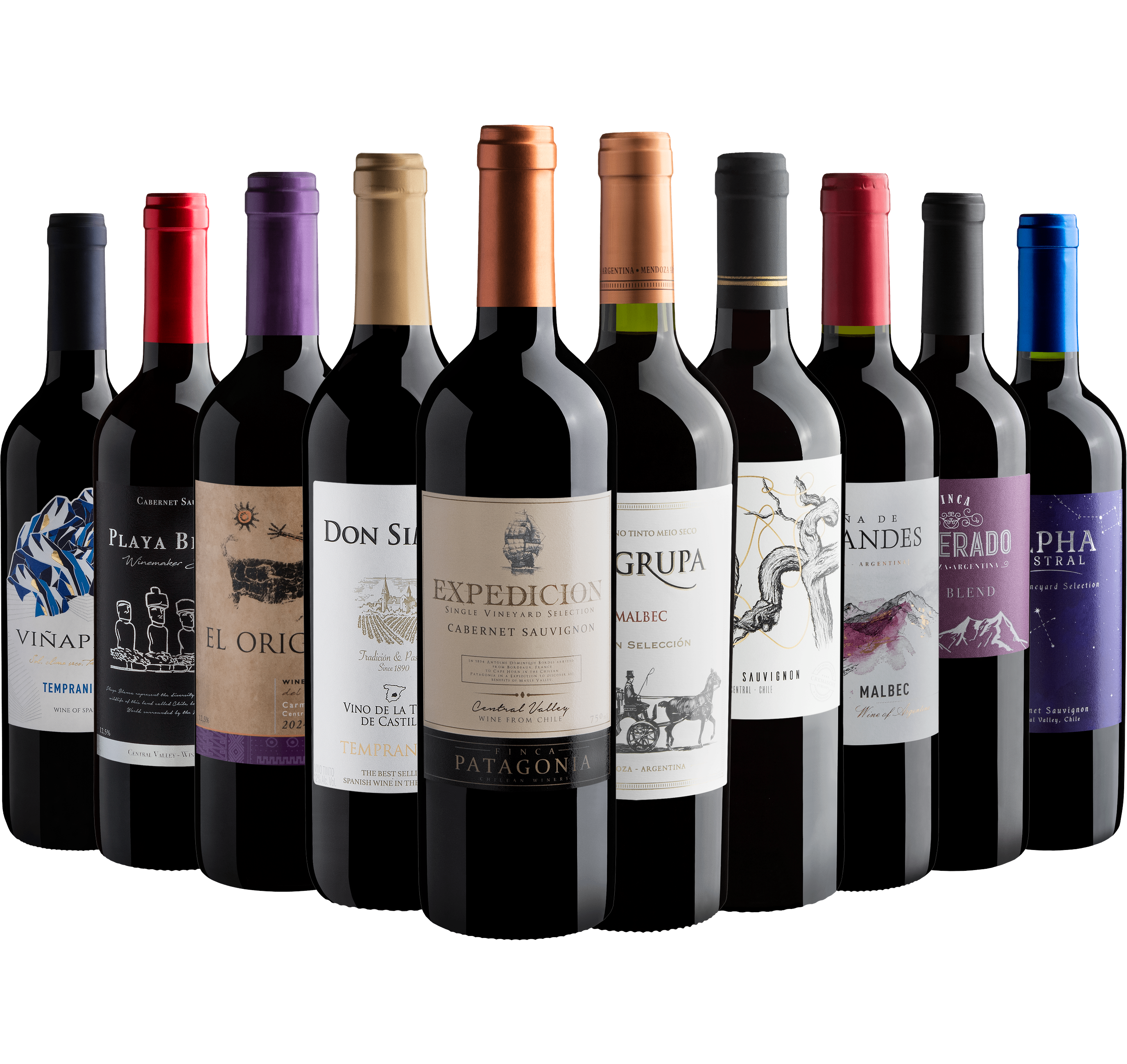 Kit 10 Vinhos Tintos