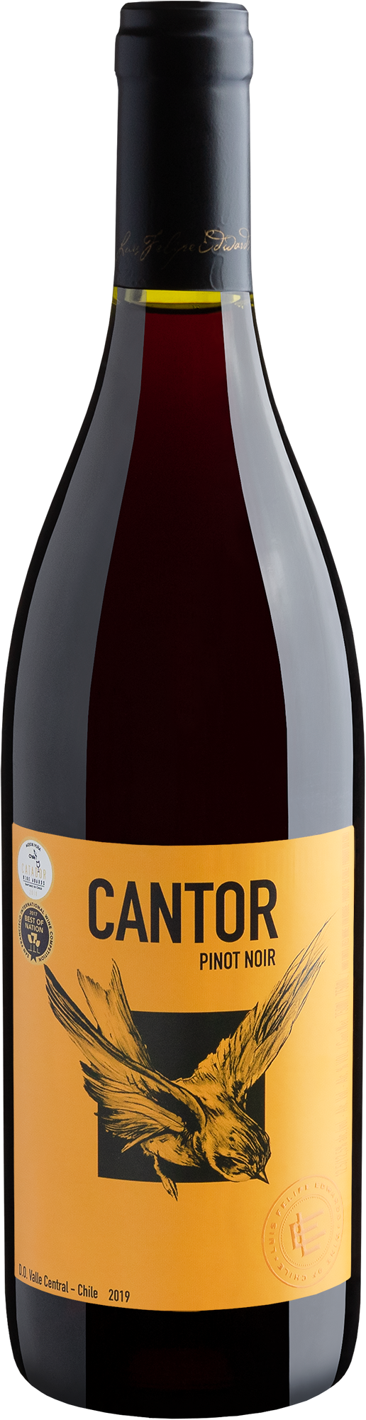 Cantor Pinot Noir 2019