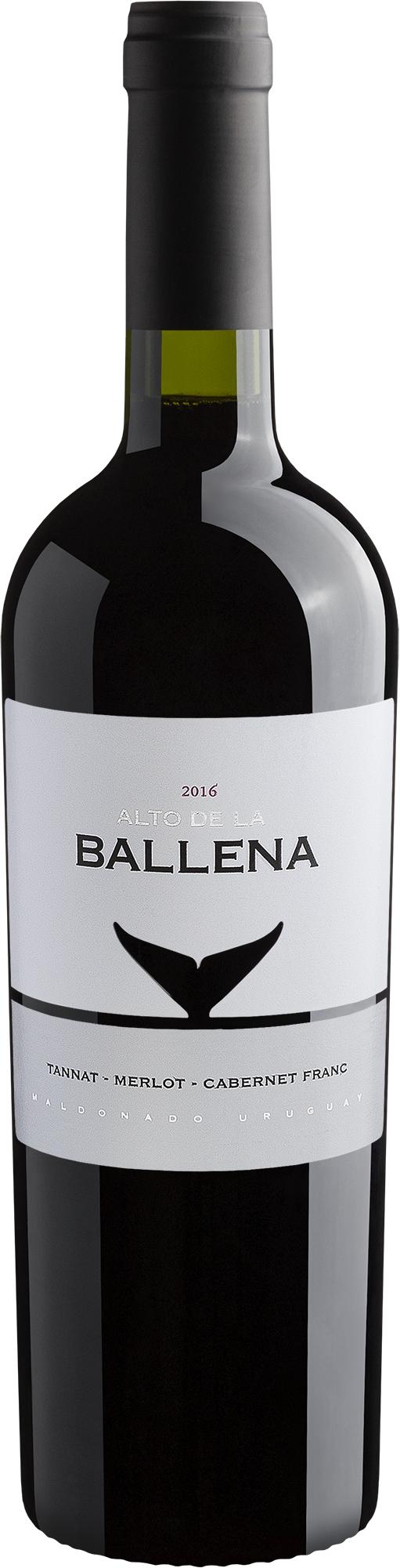 Alto De La Ballena Tannat-Merlot-Cabernet Franc 2016